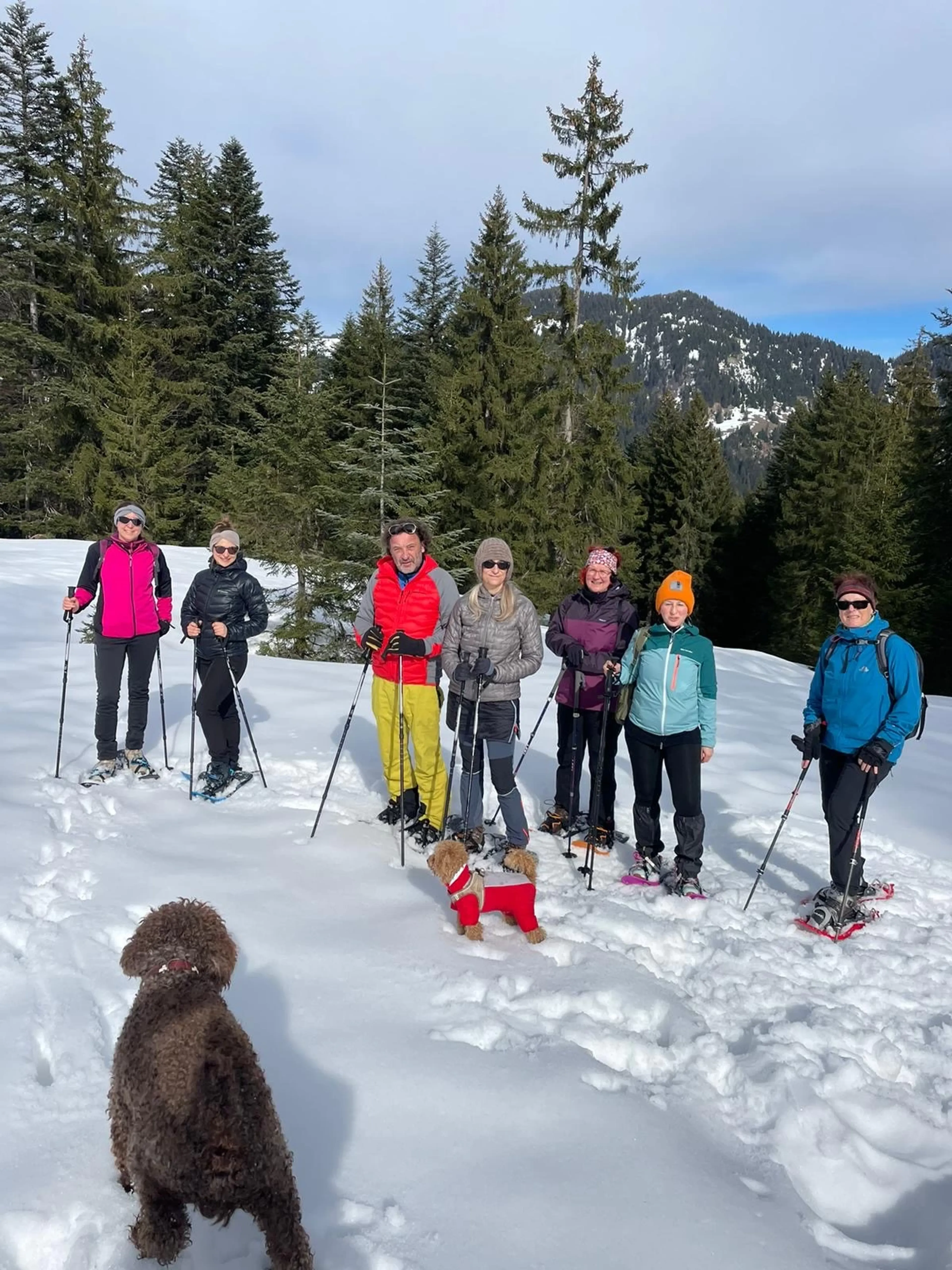 Allgäuer Winteridylle: Yoga & Schneeschuhwandern auf 1300 Metern - 2