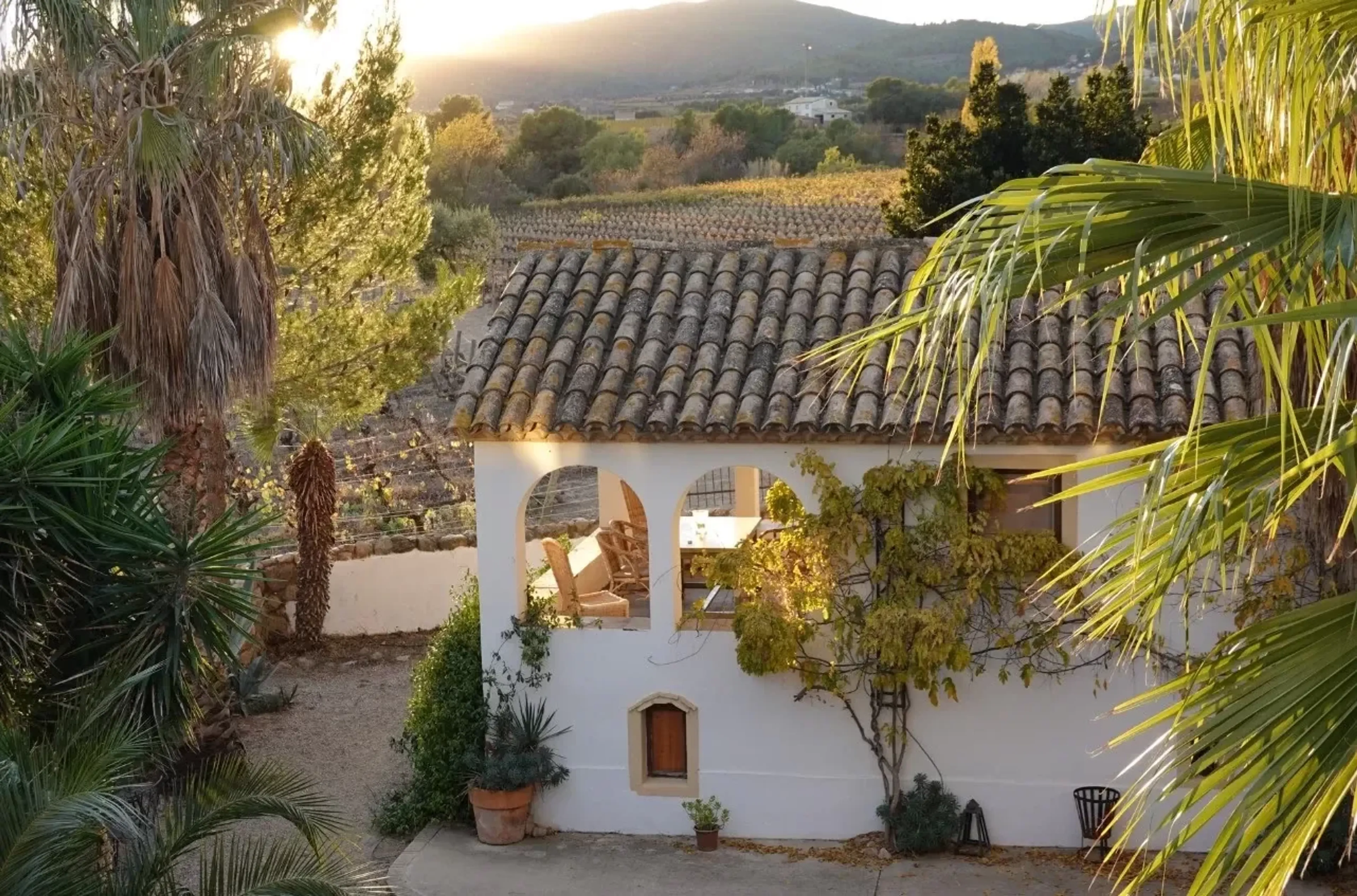 Yoga, Natur und Verbundenheit inmitten spanischer Weinberge - 2
