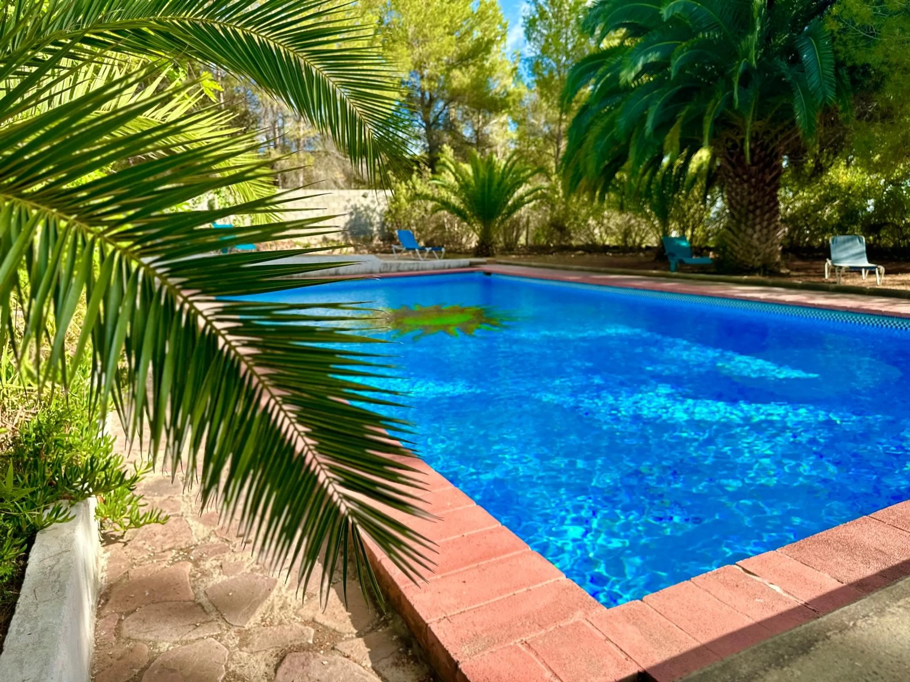Finde innere Ruhe und Gemeinschaft: Yoga-Retreat nahe Valencia - 2