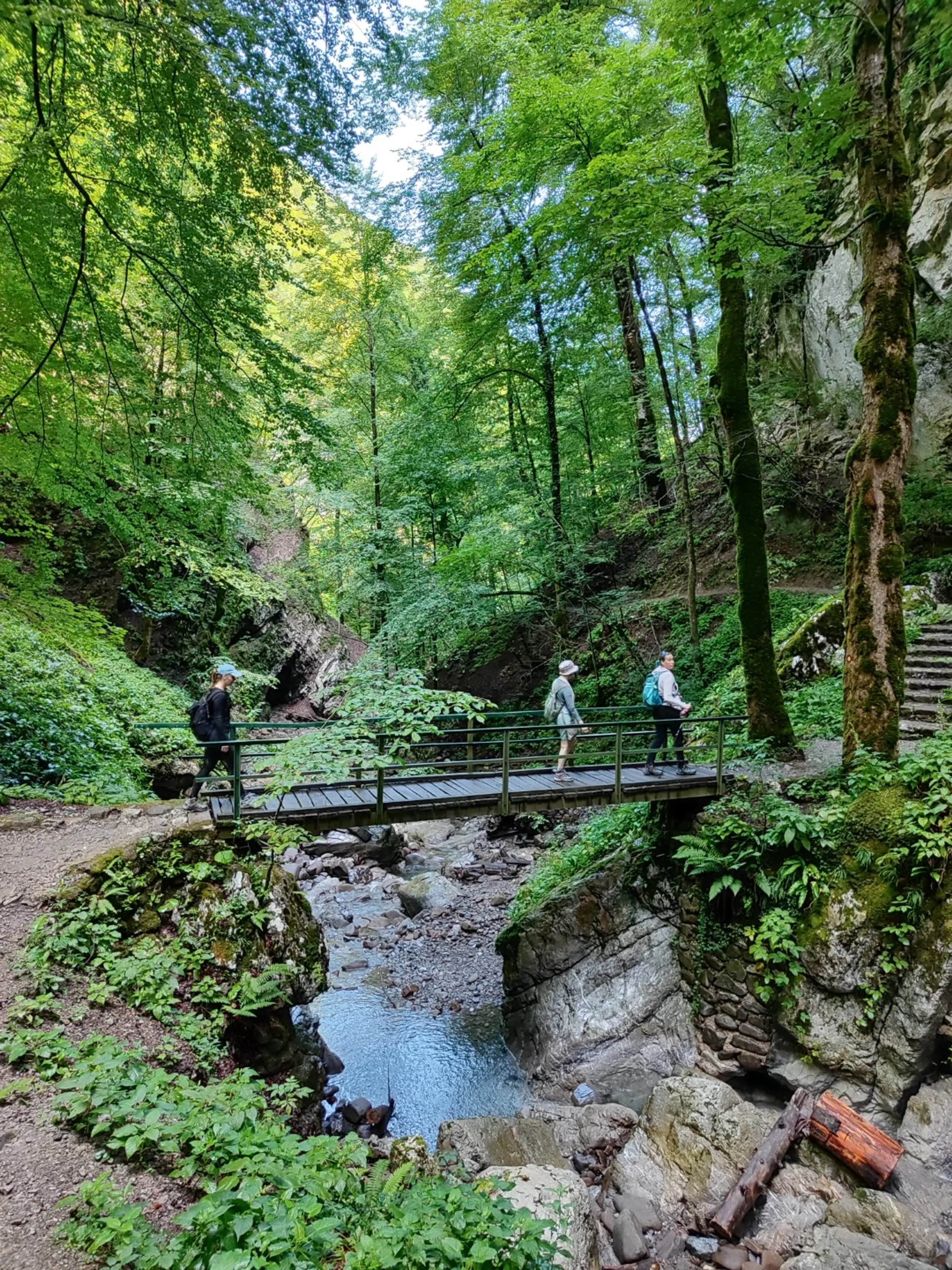 Yoga und Wandern in den Bergen Kroatiens - 3