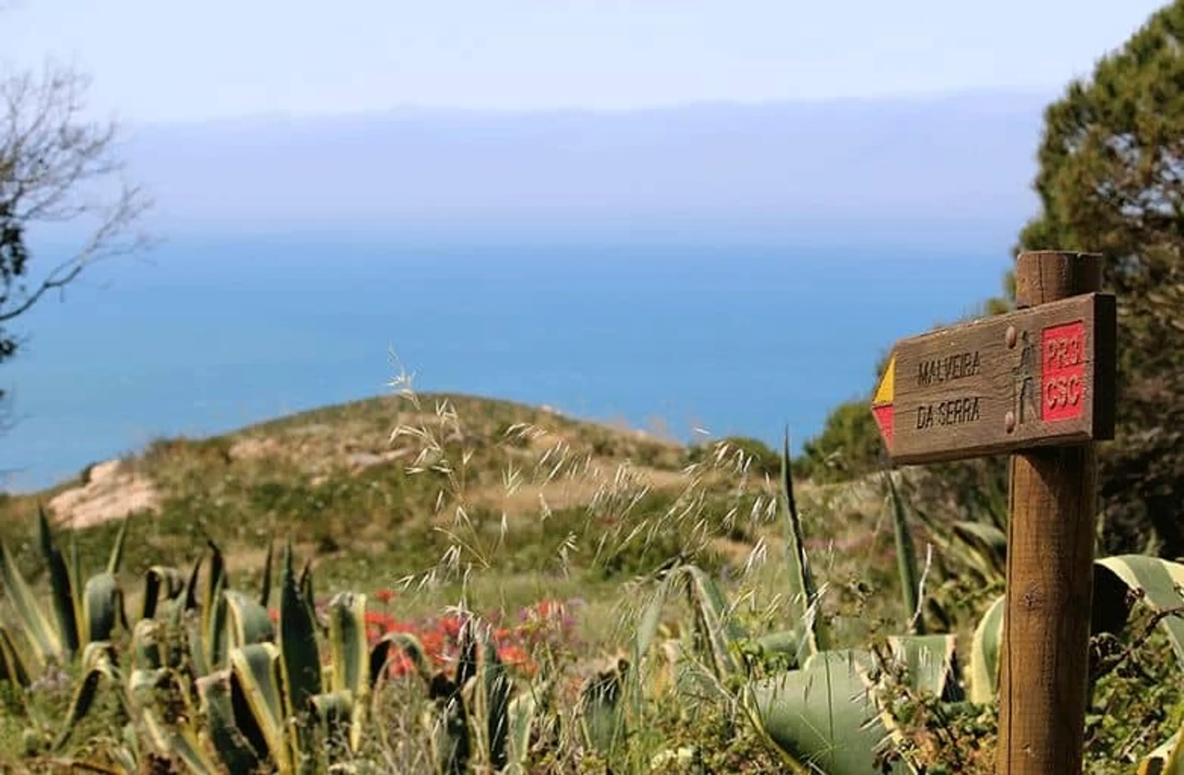 Wandern und Yoga in der eindrucksvollen Natur der Serra da Sintra - 2