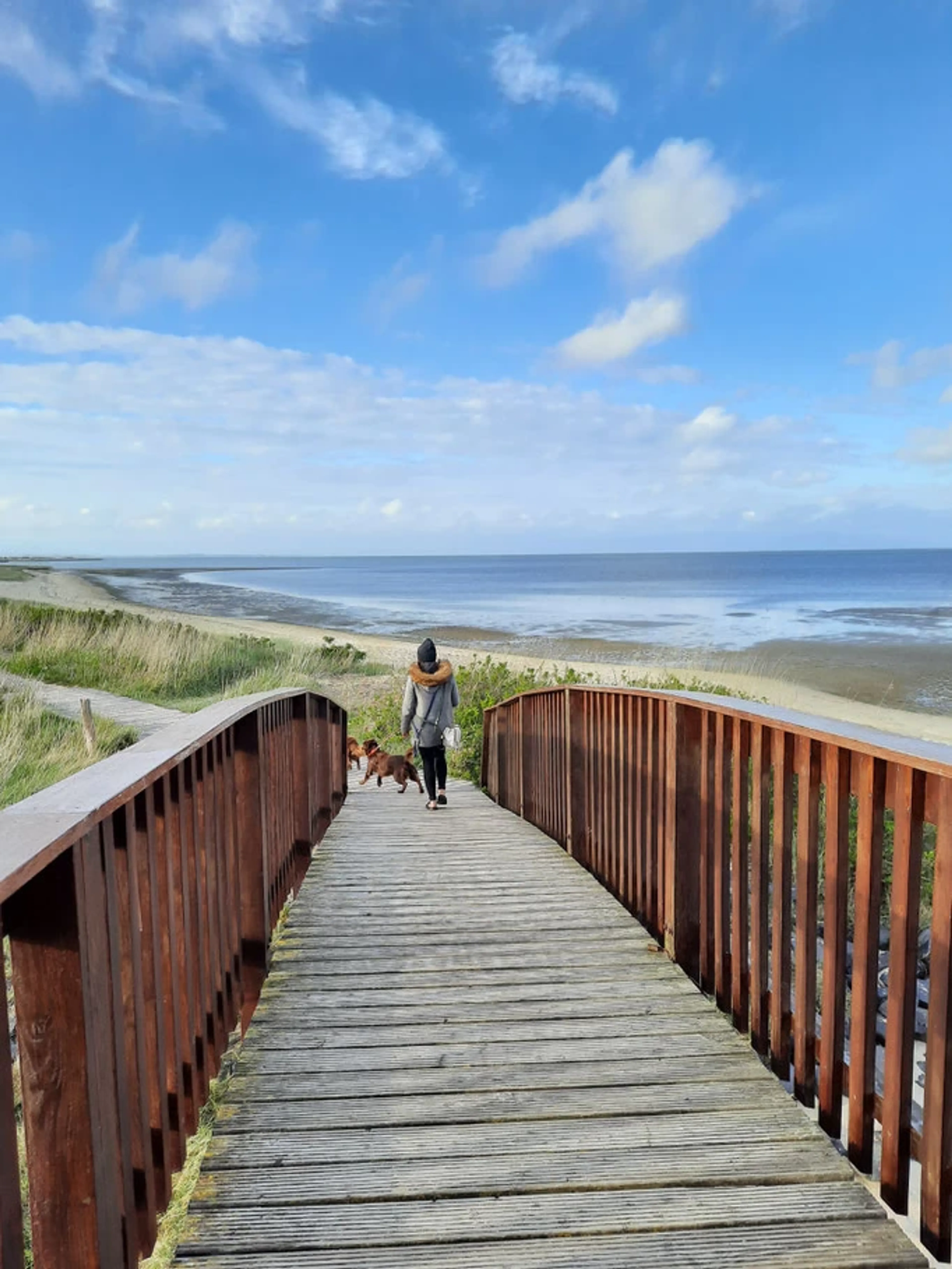 Anerkannter Bildungsurlaub: Deine Yogalehrer:innen-Ausbildung auf Sylt - 3