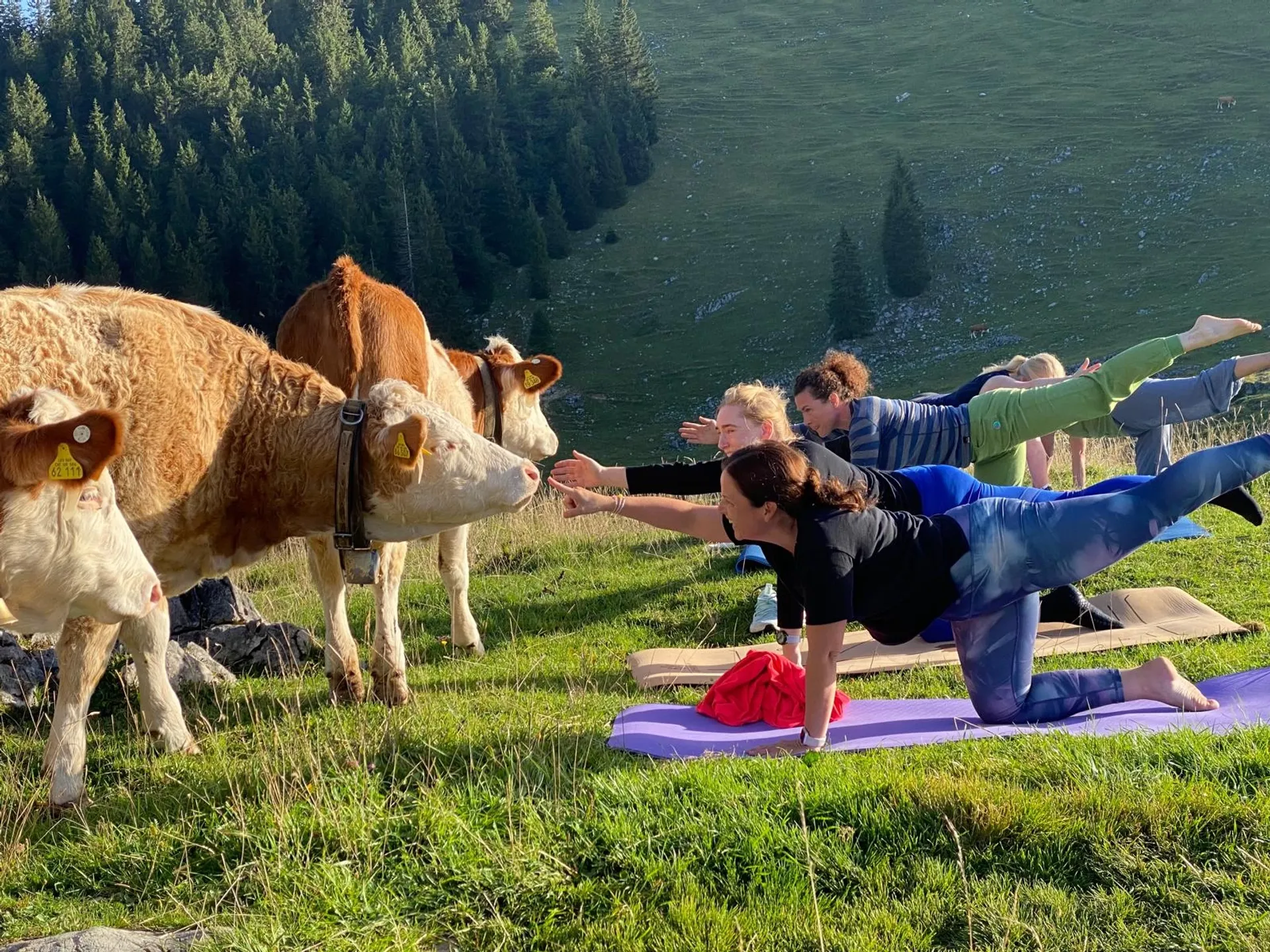 Yoga & Wandern auf der Oberen Firstalm