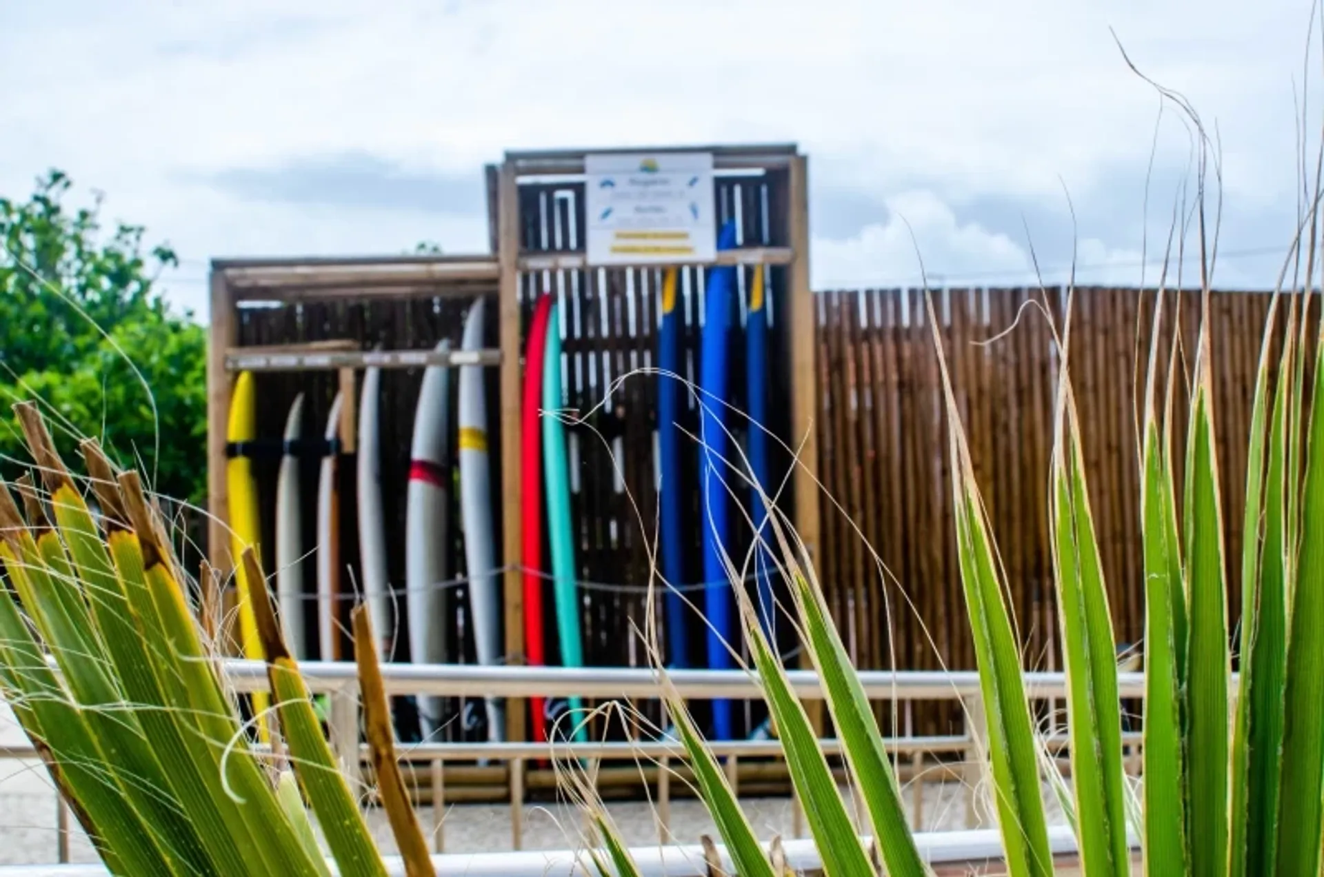 Surf-Hostel mit Pool für Gruppen: Erlebt die Schönheit der Algarve - 5