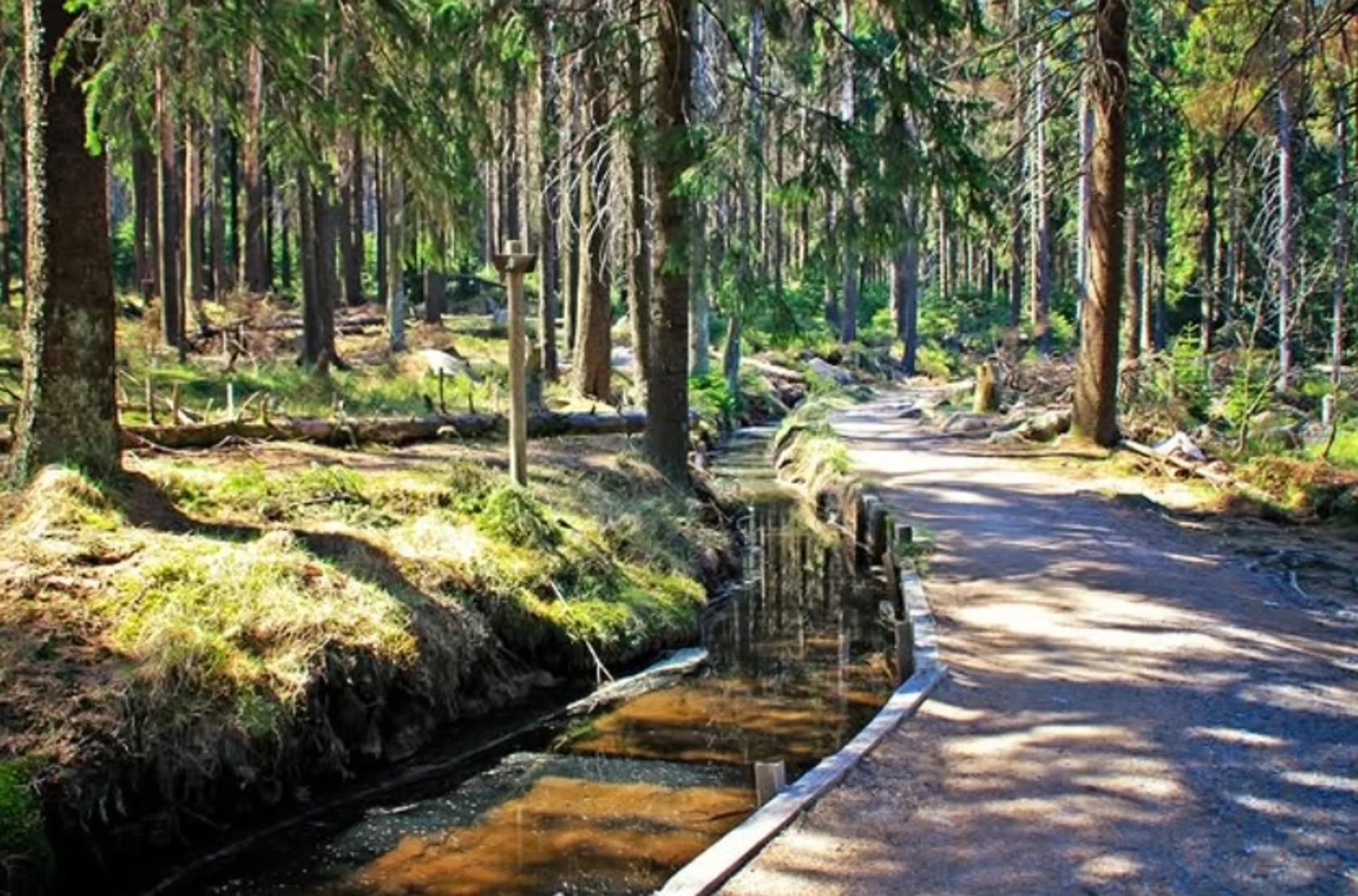 Power-Wochenende mit Yoga, EMS und Nordic Walking - 5