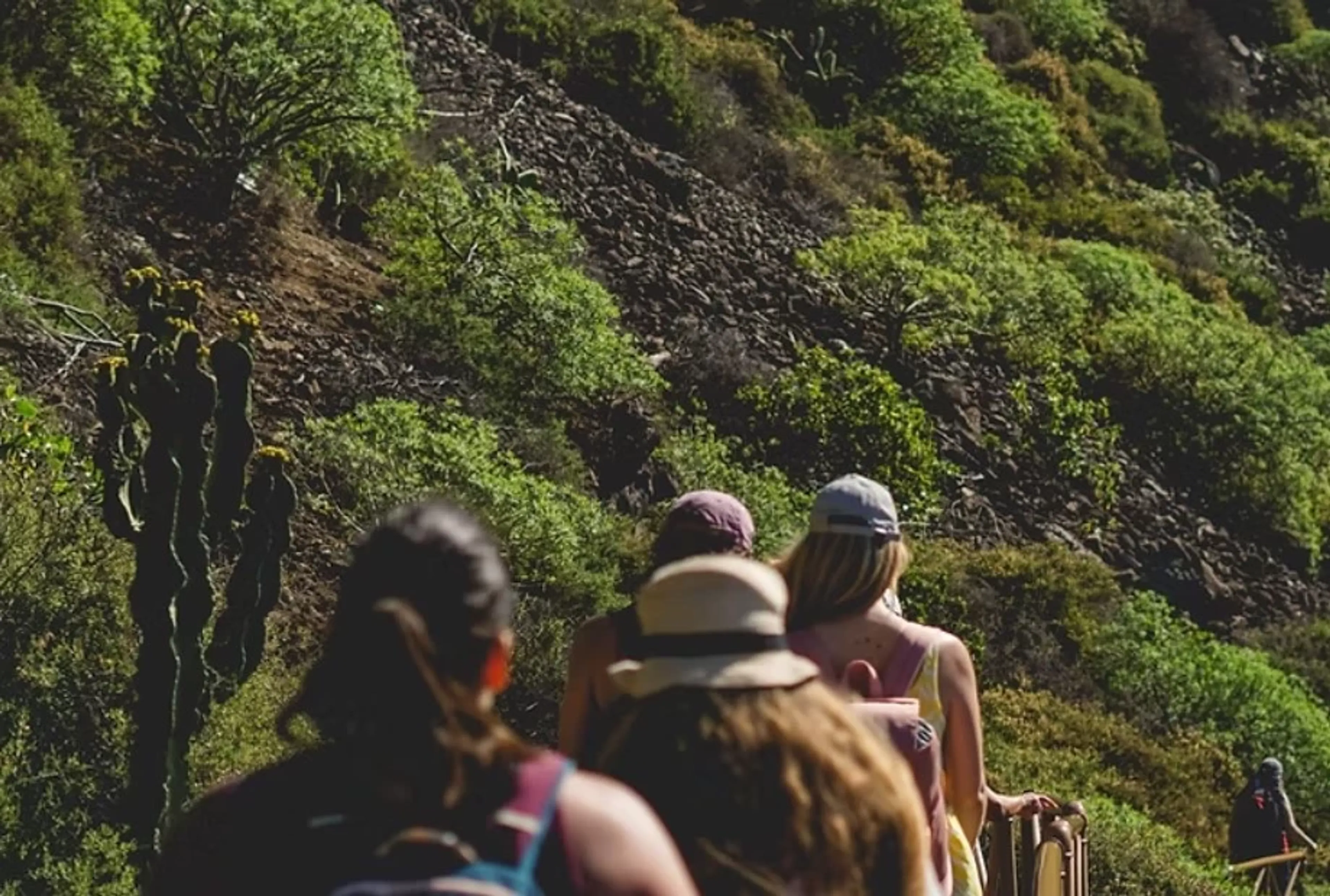 Atem. Bewegung. Balance: Dein Rückzugsort auf Teneriffa - 1