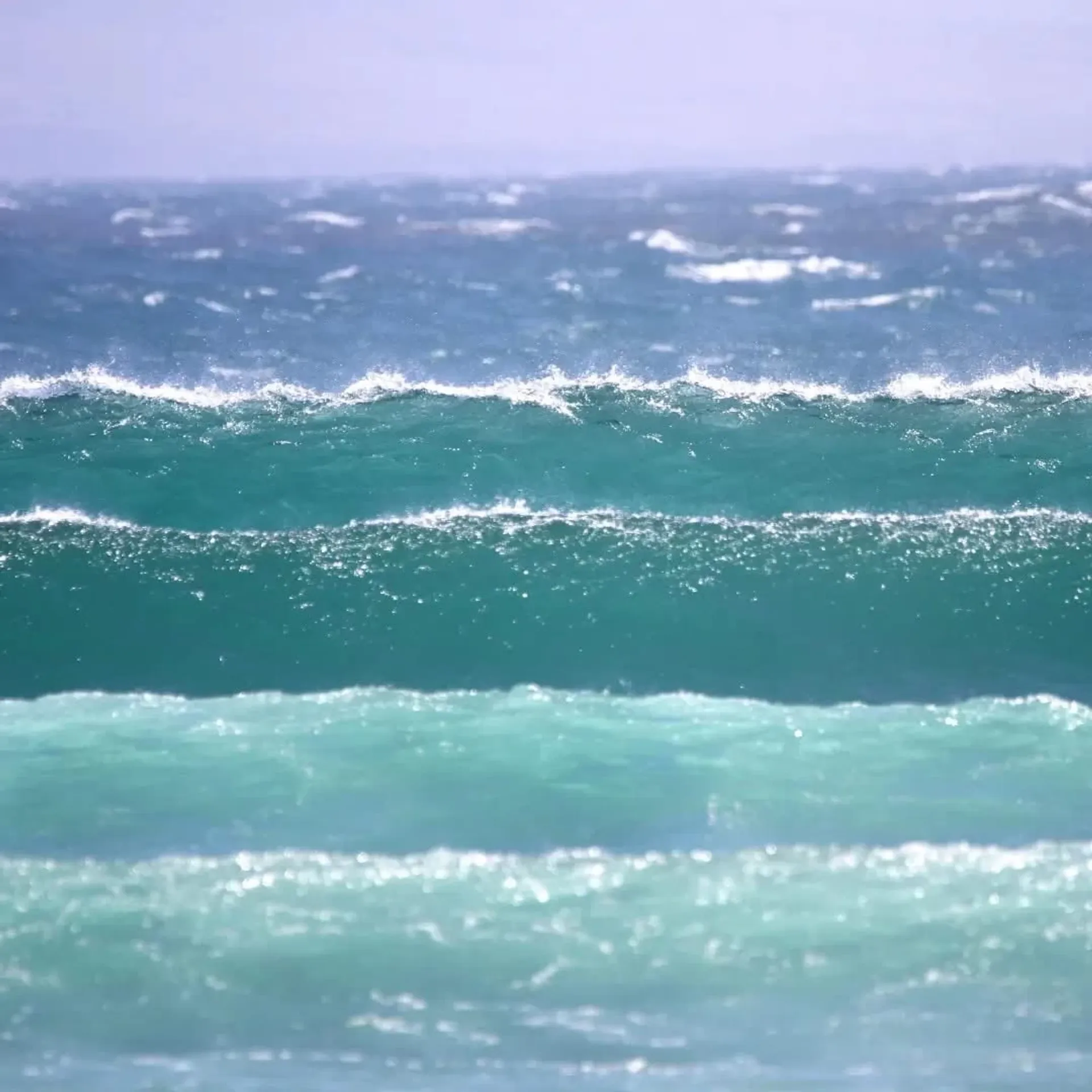 Nose & Soul: Dein Longboard-Erlebnis in Imsouane - 5