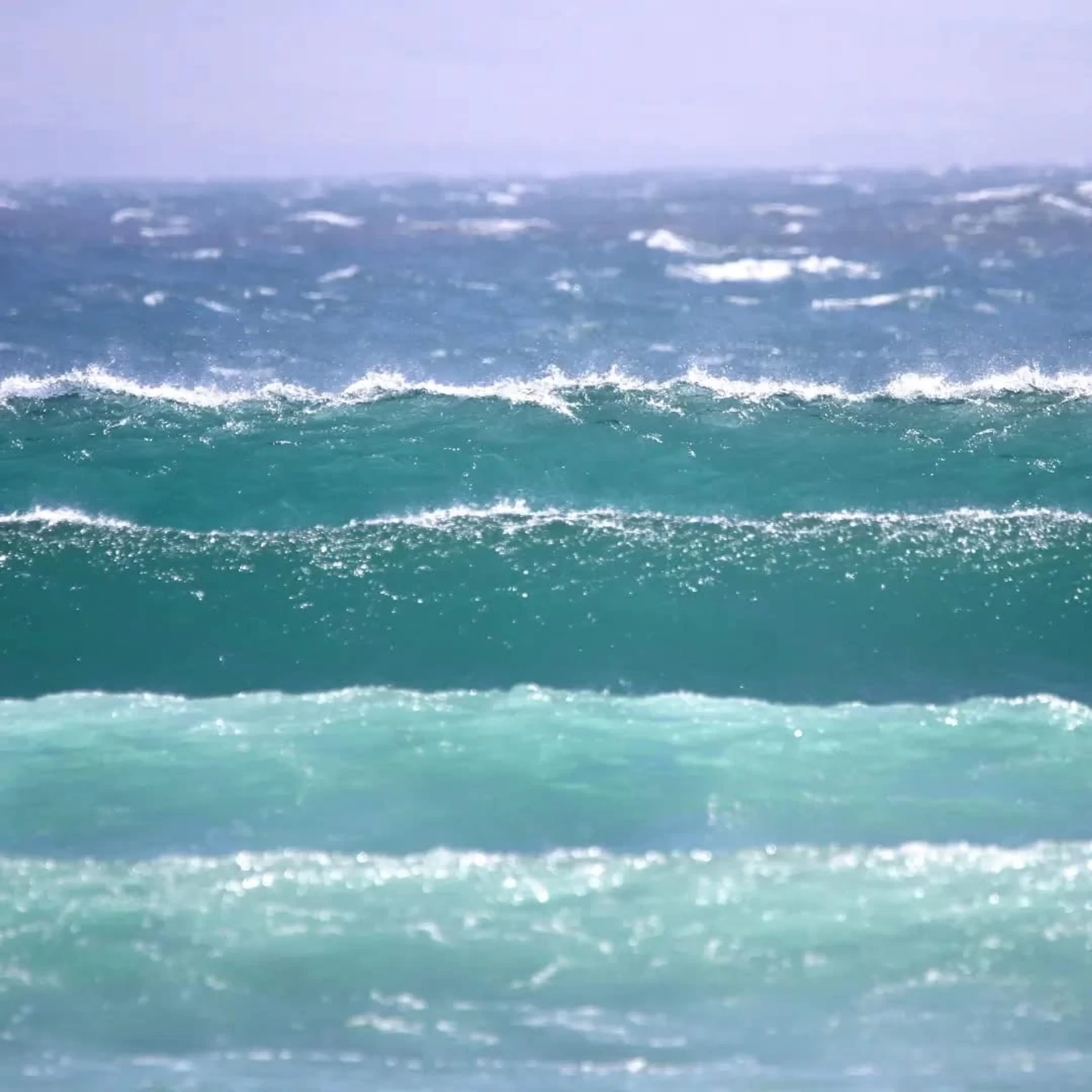 Nose & Soul: Dein Longboard-Erlebnis in Imsouane - 5