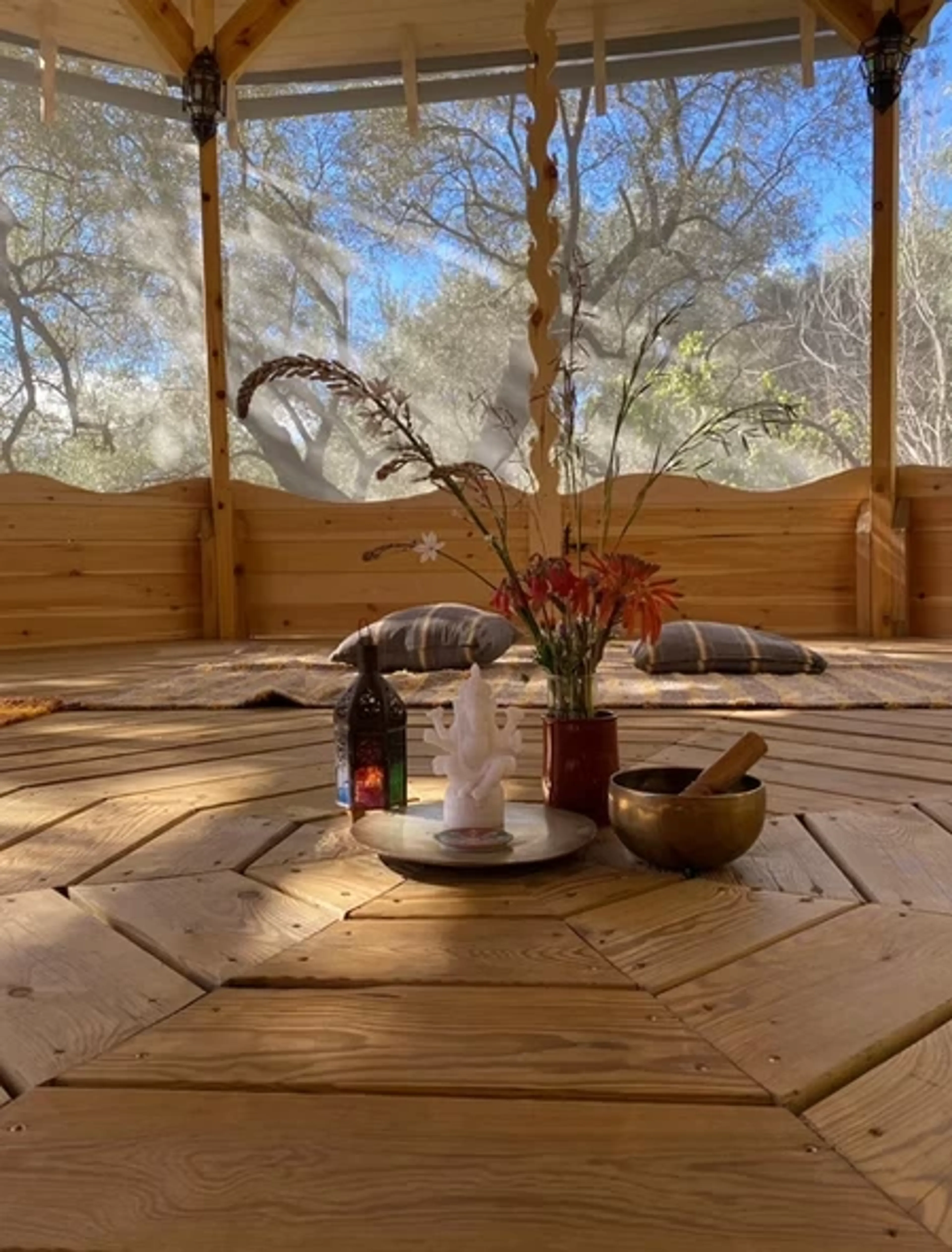 Yoga im Zeichen der Elemente: Vertiefende Praxis und Zertifikat - 5