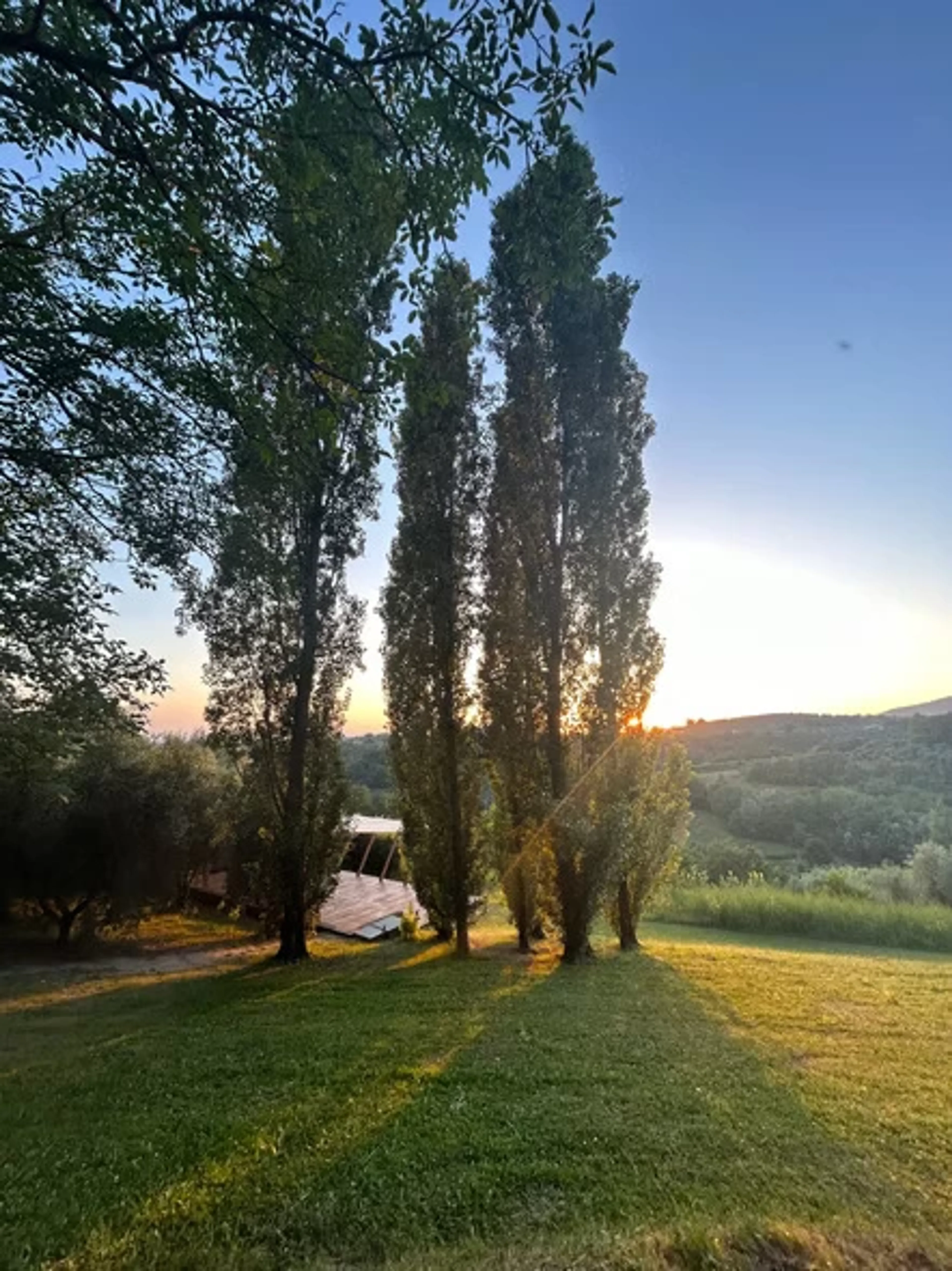 Yoga meets Italian Soul: Achtsamkeit und Lebensfreude in der Natur - 5