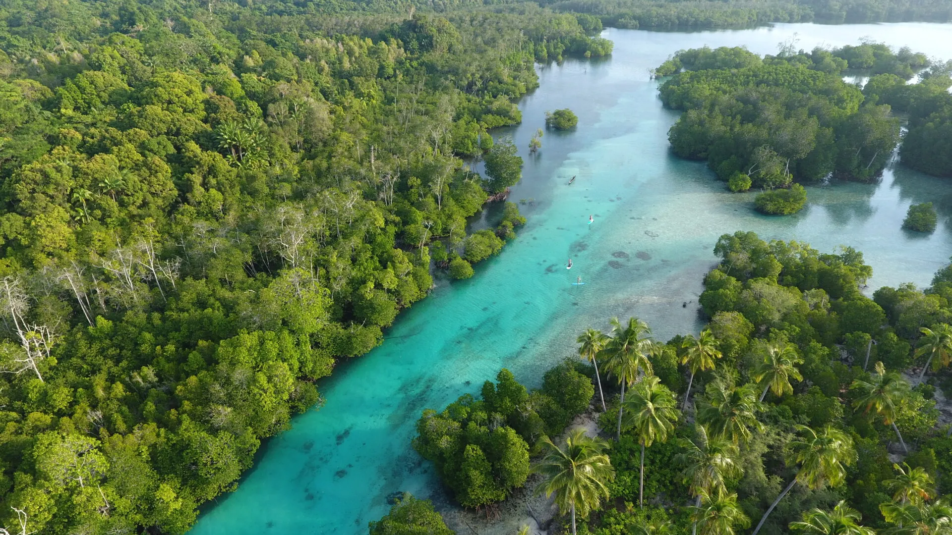 Surf-Abenteuer in luxuriöser Villa im Wellenparadies auf den Mentawais - 4