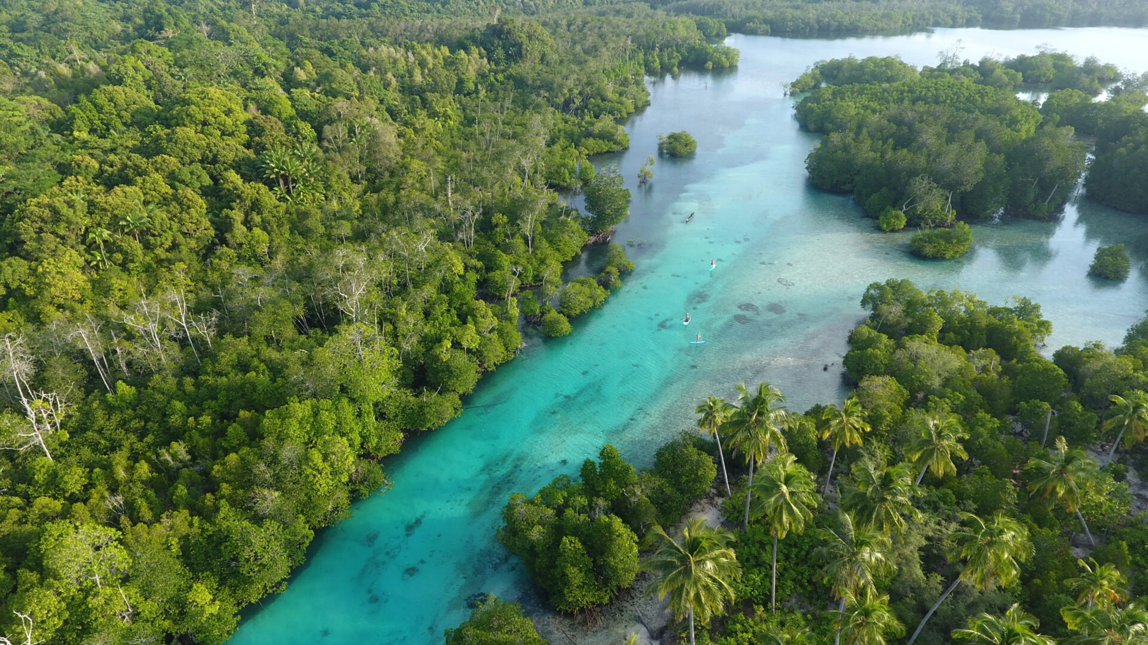 Surf-Abenteuer in luxuriöser Villa im Wellenparadies auf den Mentawais - 4