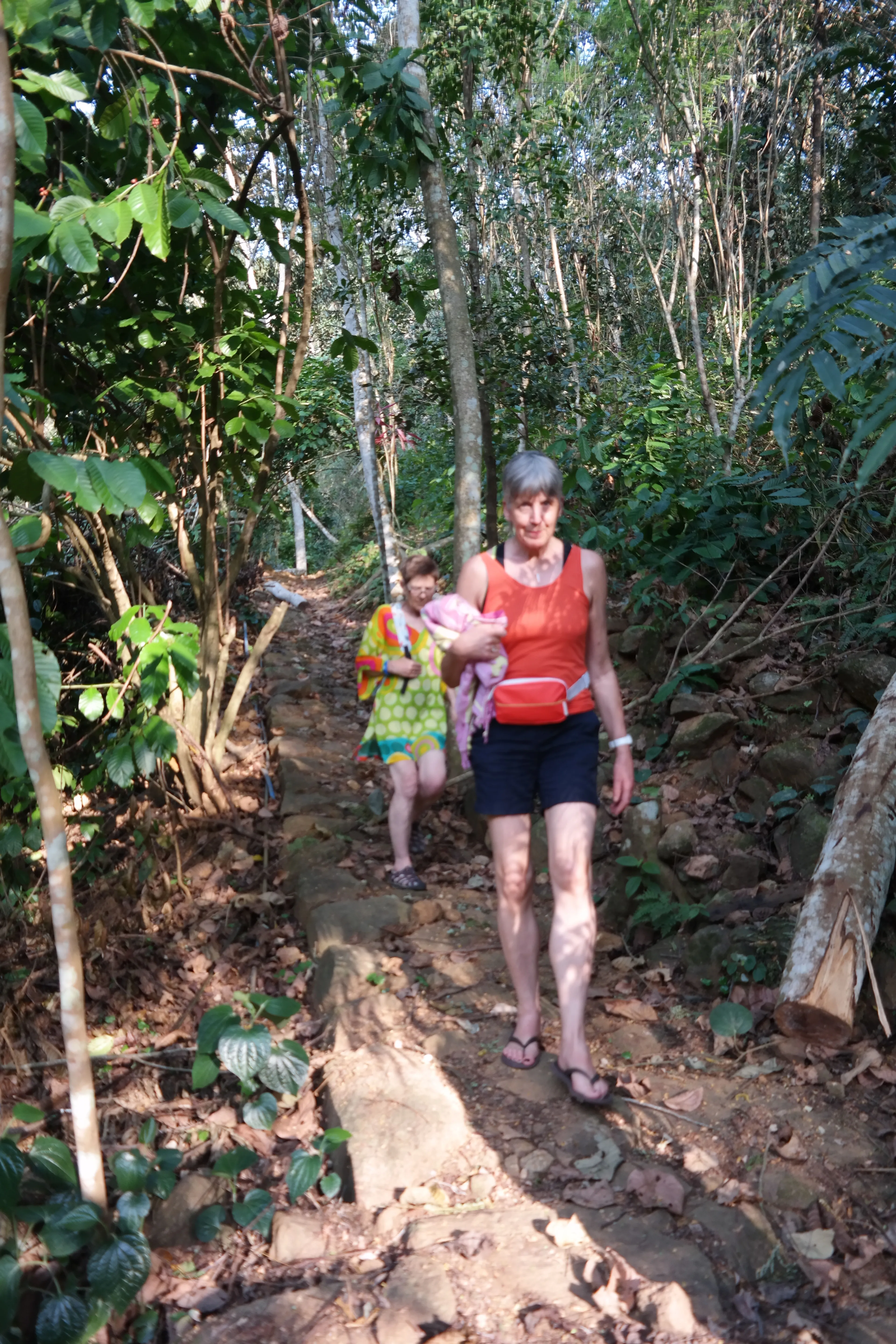 Wandern und Radfahren im letzten unberührten Regenwald Sri Lankas - 3