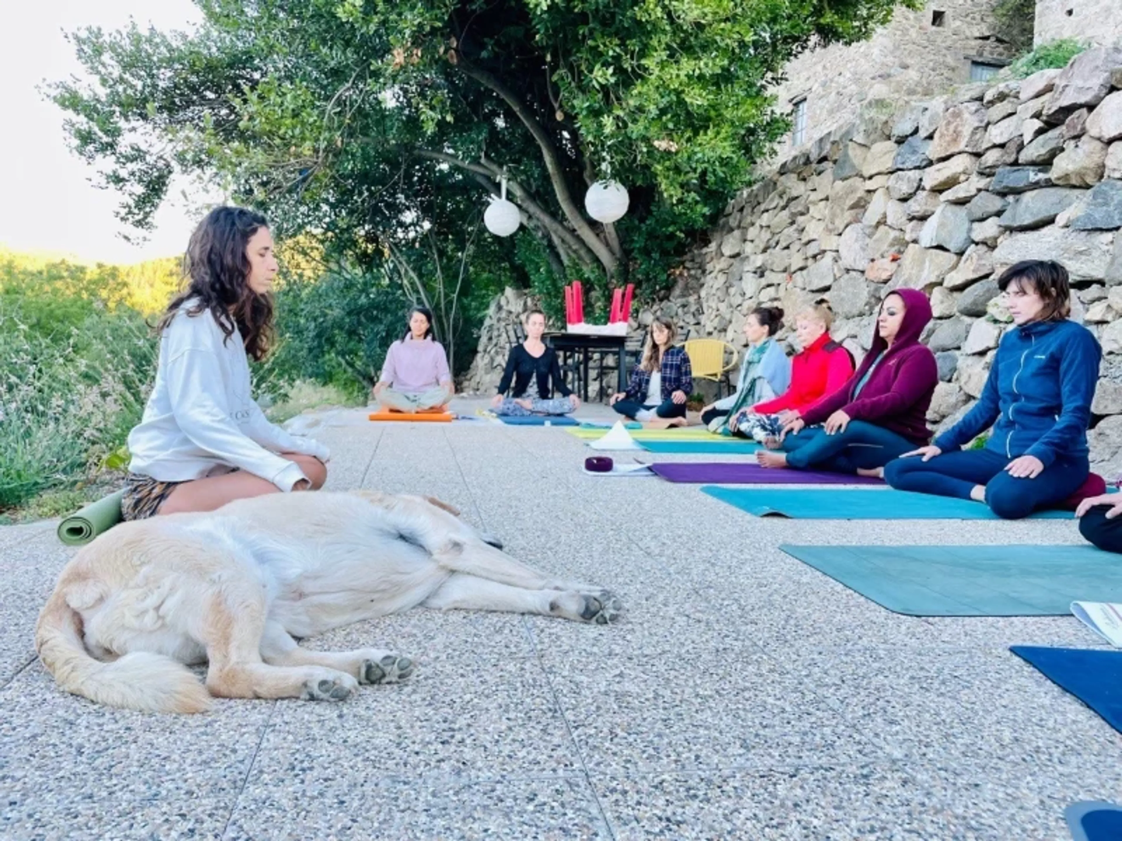 Yoga & Kung Fu Retreat: Die Kunst der inneren Mitte - 1