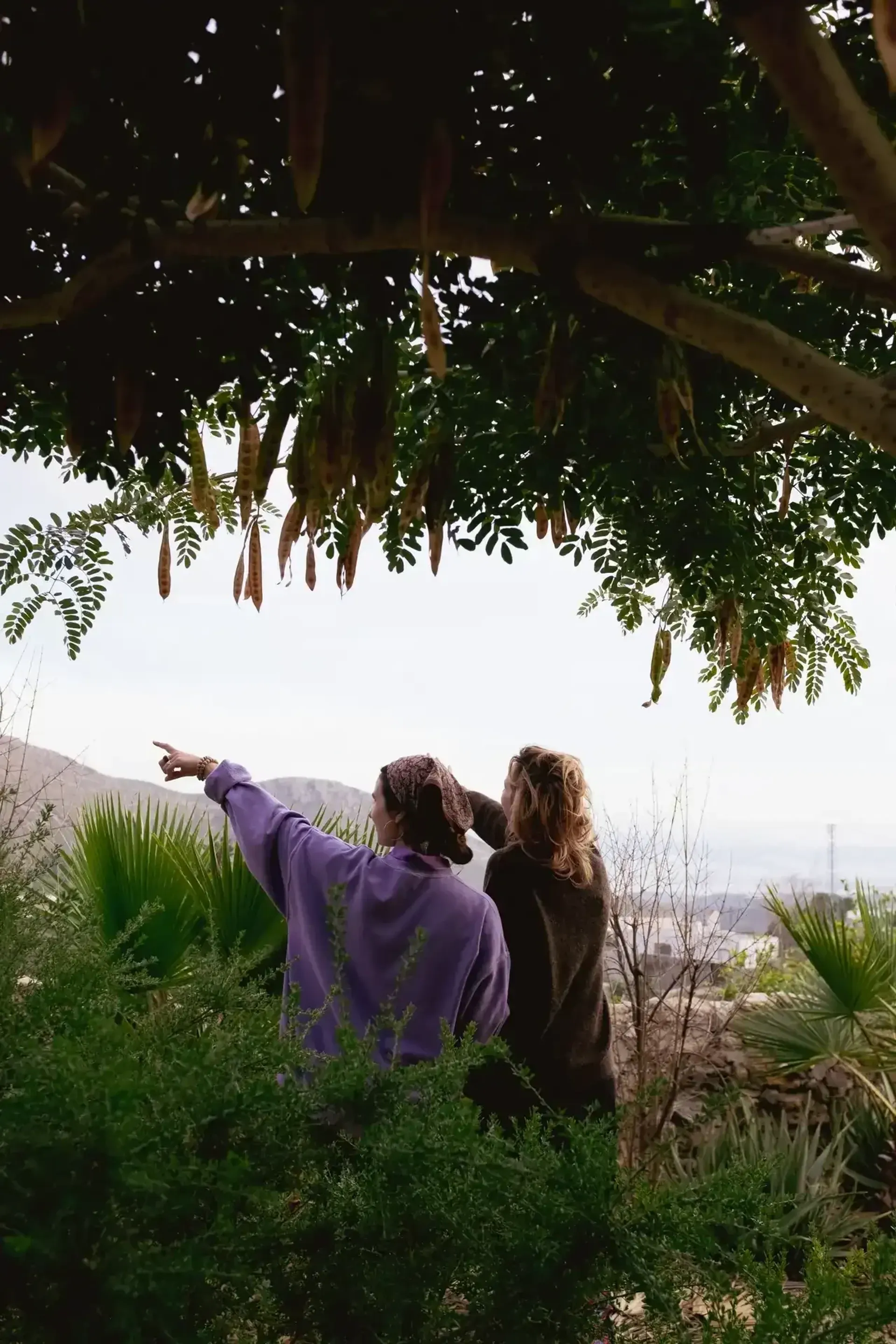 Selbstfindung und Meditation im andalusischen Garten