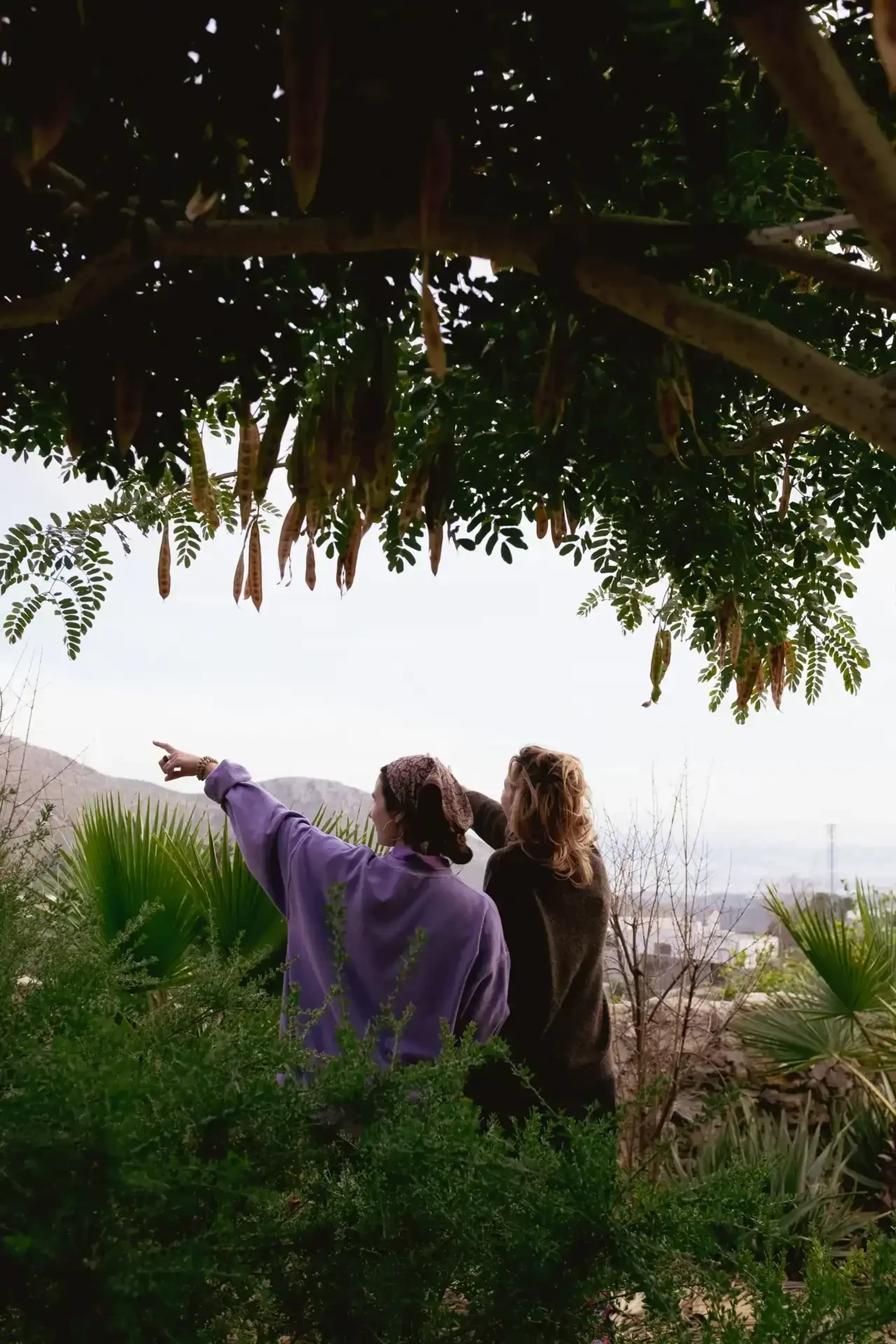 Selbstfindung und Meditation im andalusischen Garten