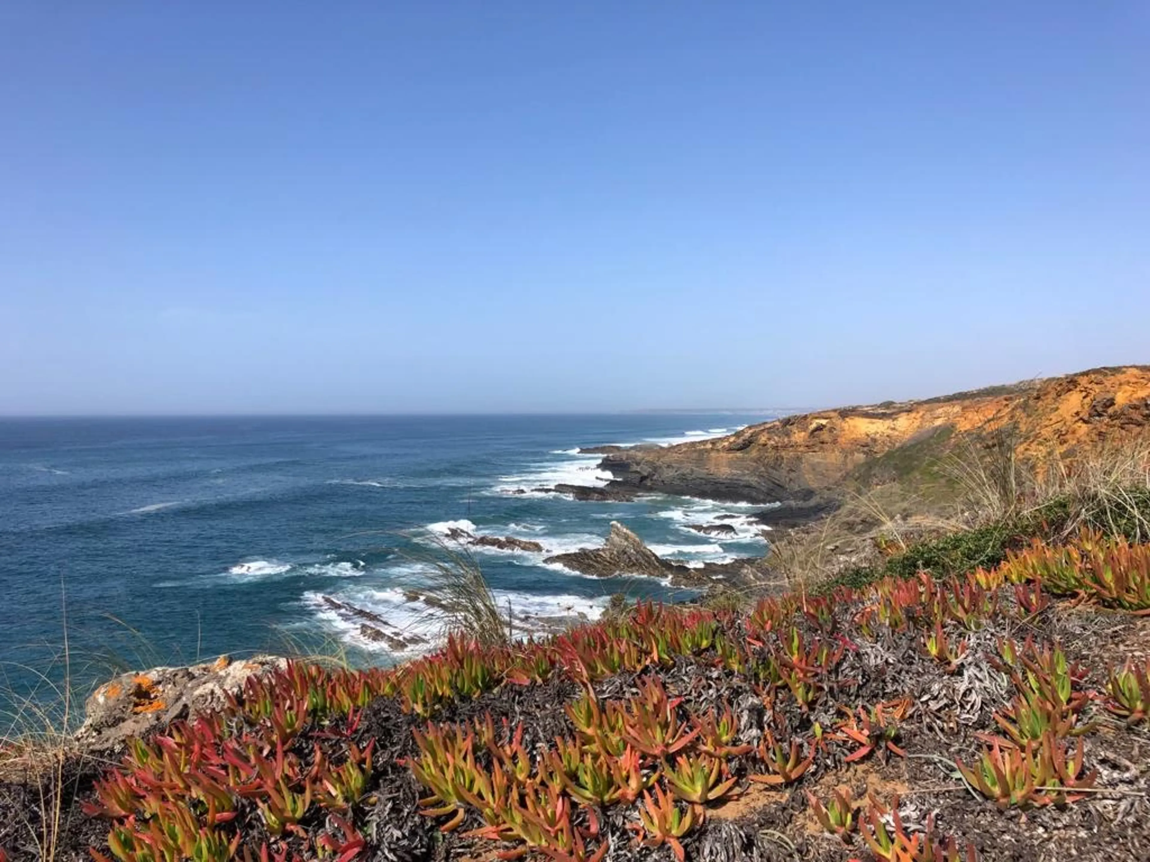 Frühling an der Atlantikküste: Natur, Yoga und Entschleunigung - 5