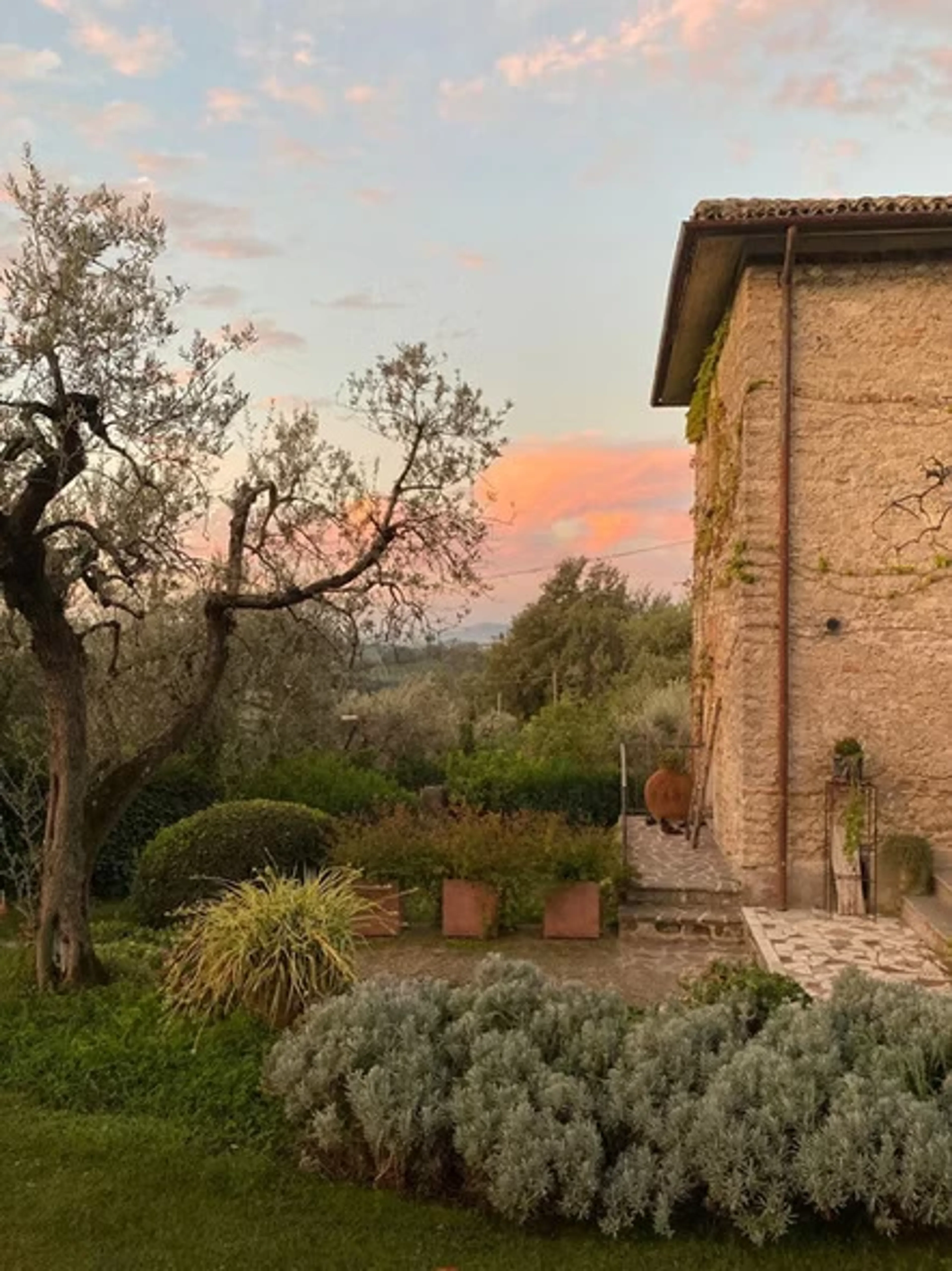 Yoga meets Italian Soul: Achtsamkeit und Lebensfreude in der Natur - 2