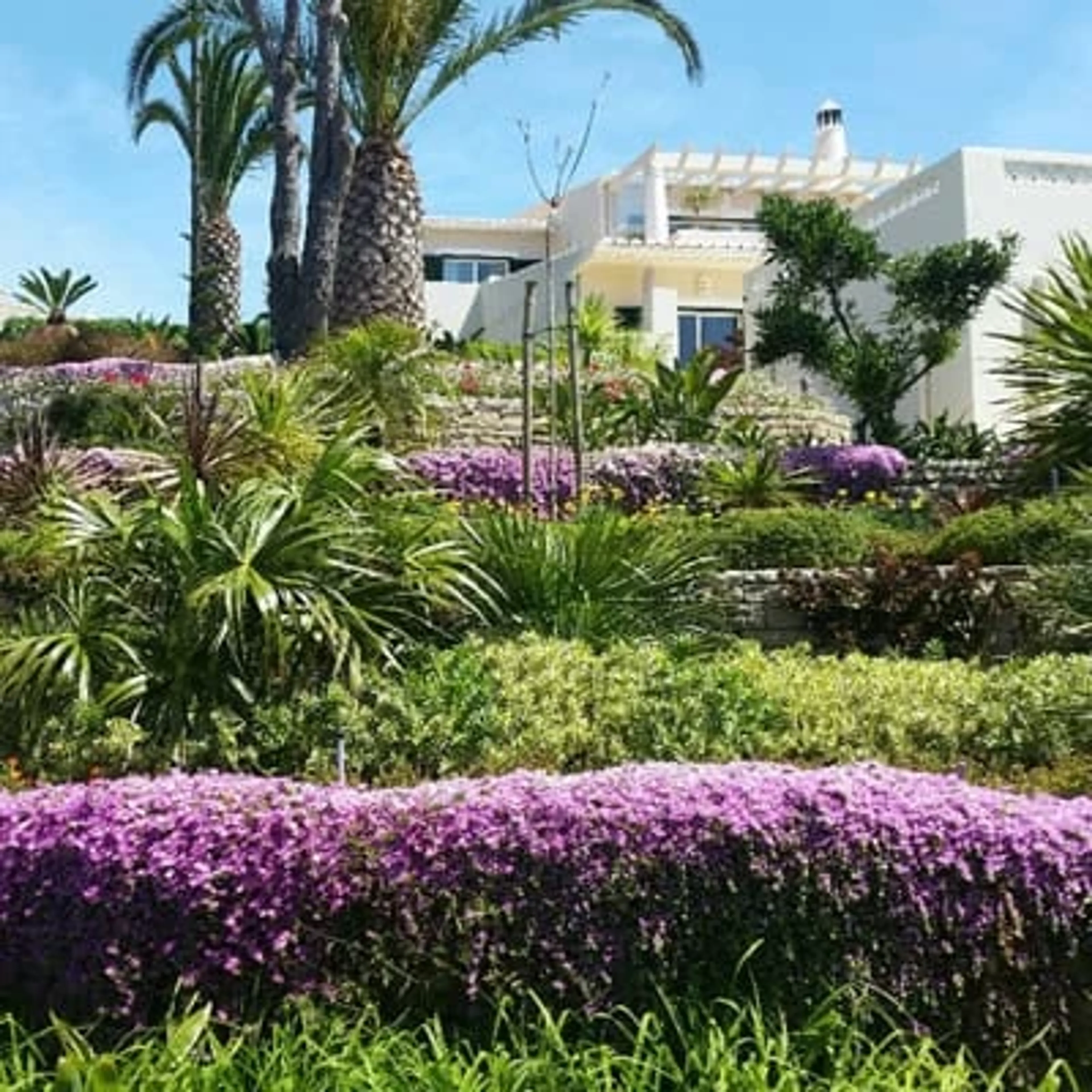 Yoga und Surf Retreat an der Algarve: Natur, Wellen und Erholung - 4