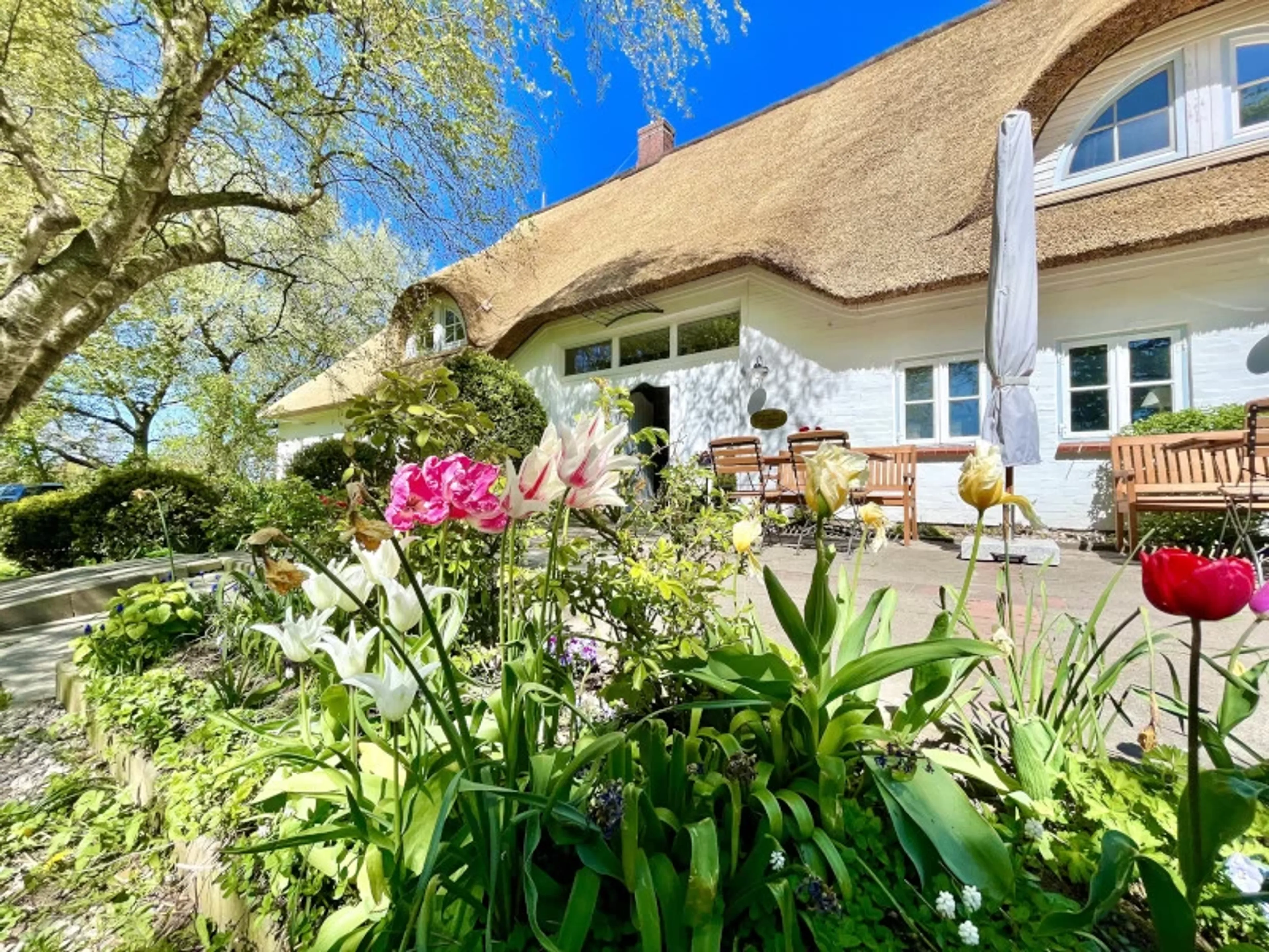 Ayurvedisches Heilfasten und Yoga an der schönen Nordseeküste - 4