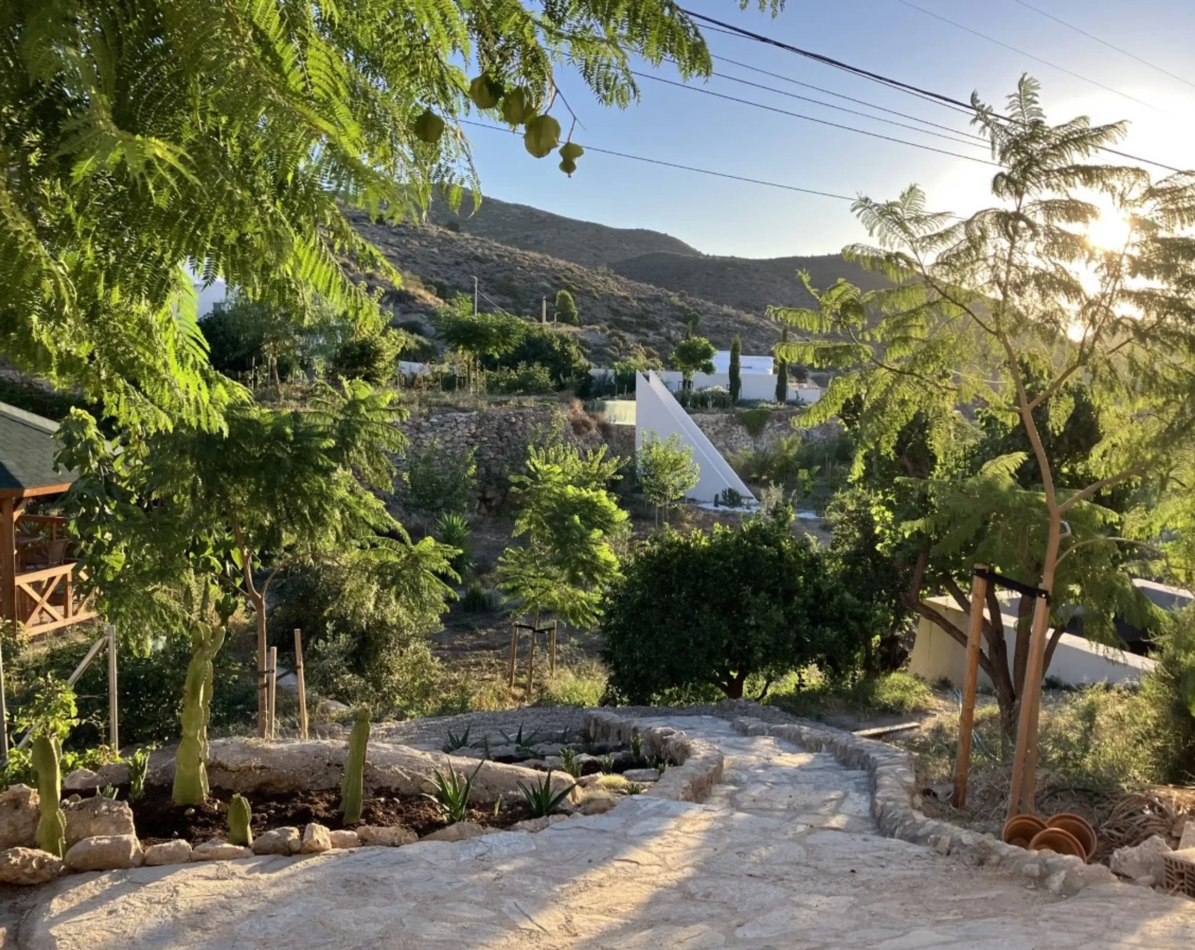 Im Rhythmus der Stille: Meditatives Leben in der Natur Andalusiens - 2