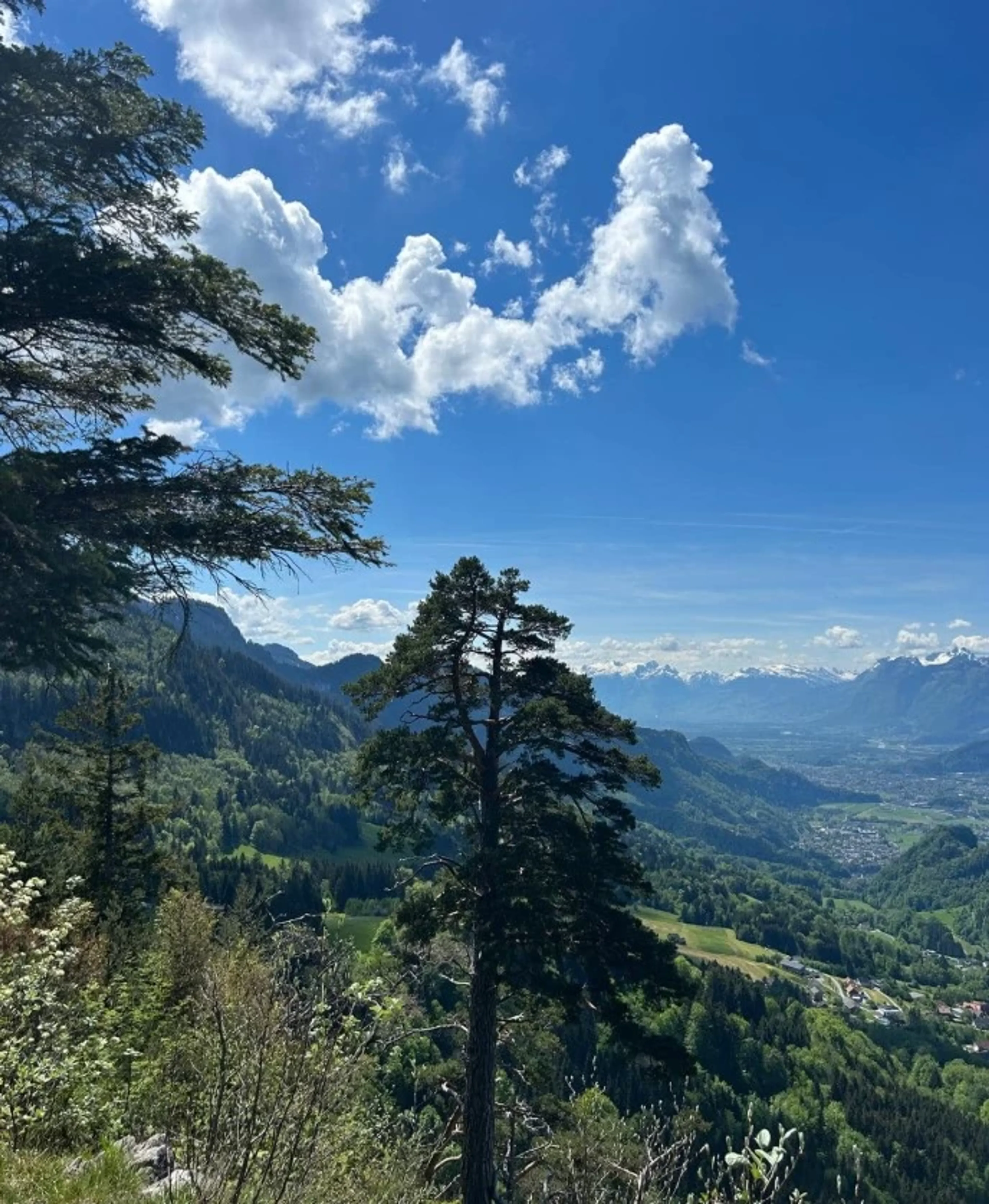 Bewusste Auszeit: Atem, Klang und Yoga in Vorarlberg - 3