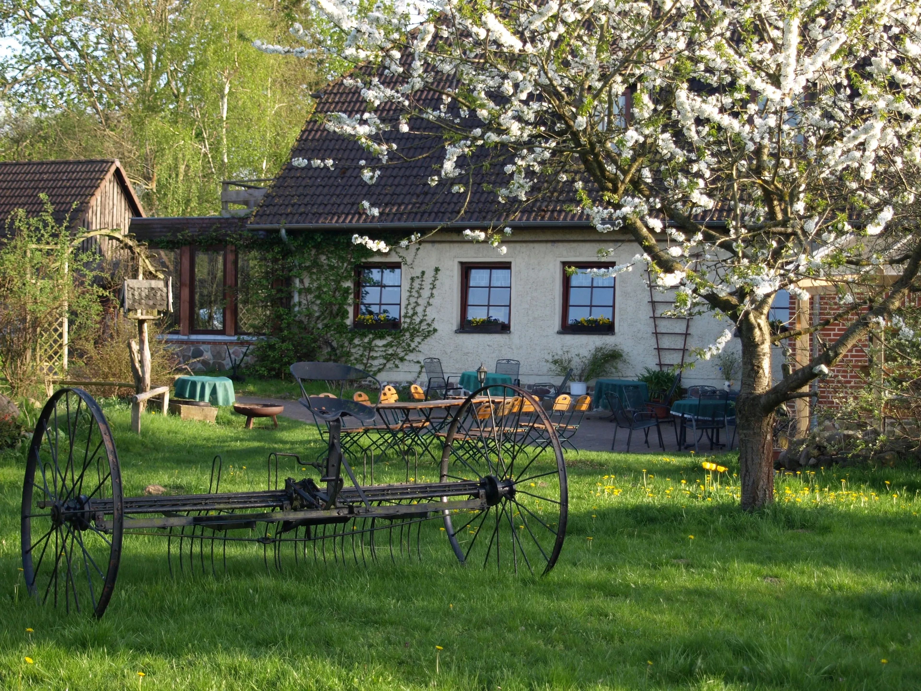 Yoga, Wandern und Rohkost-Detox im Müritz-Nationalpark - 2