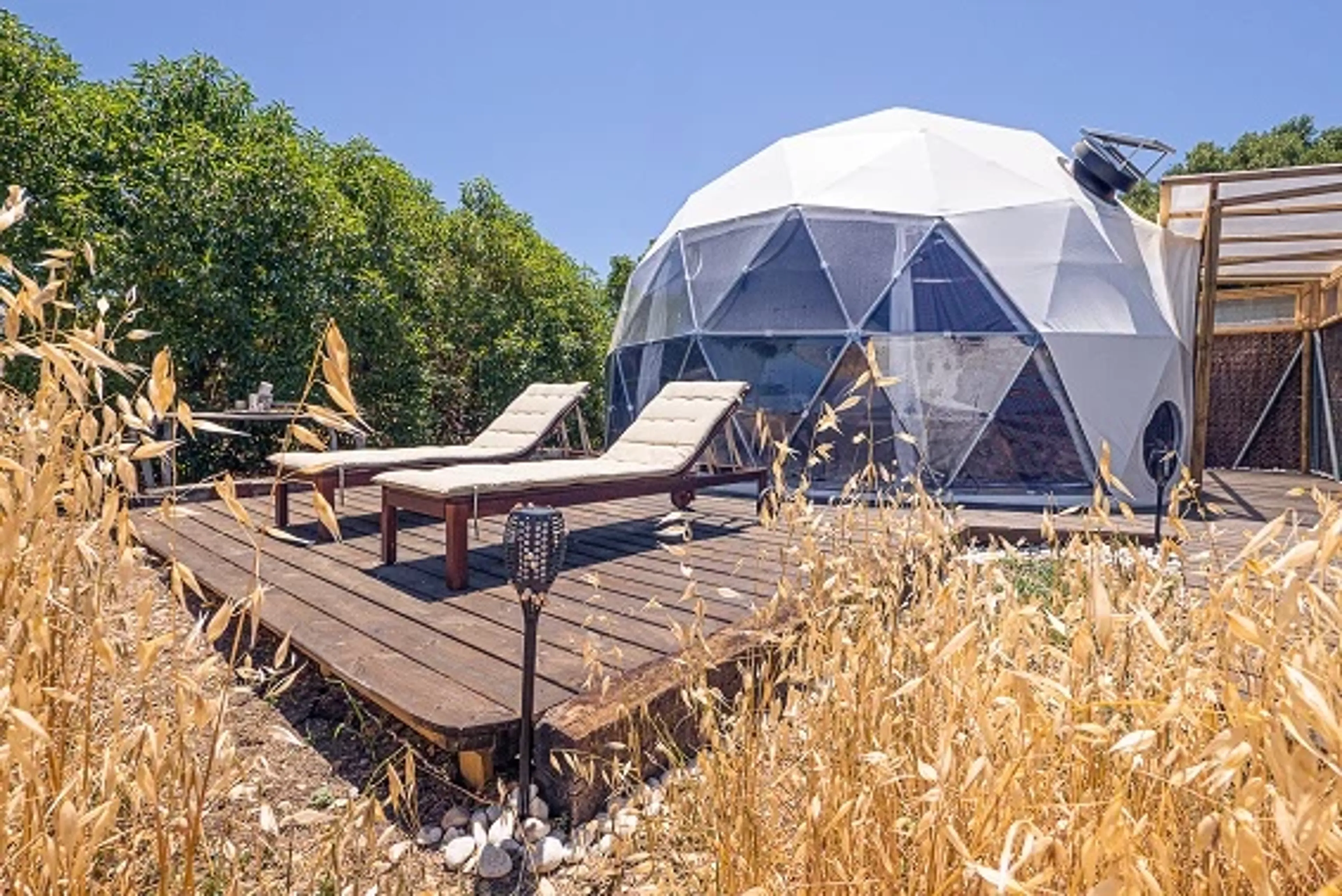 Yoga & Achtsamkeits-Retreat in Andalusien - 4