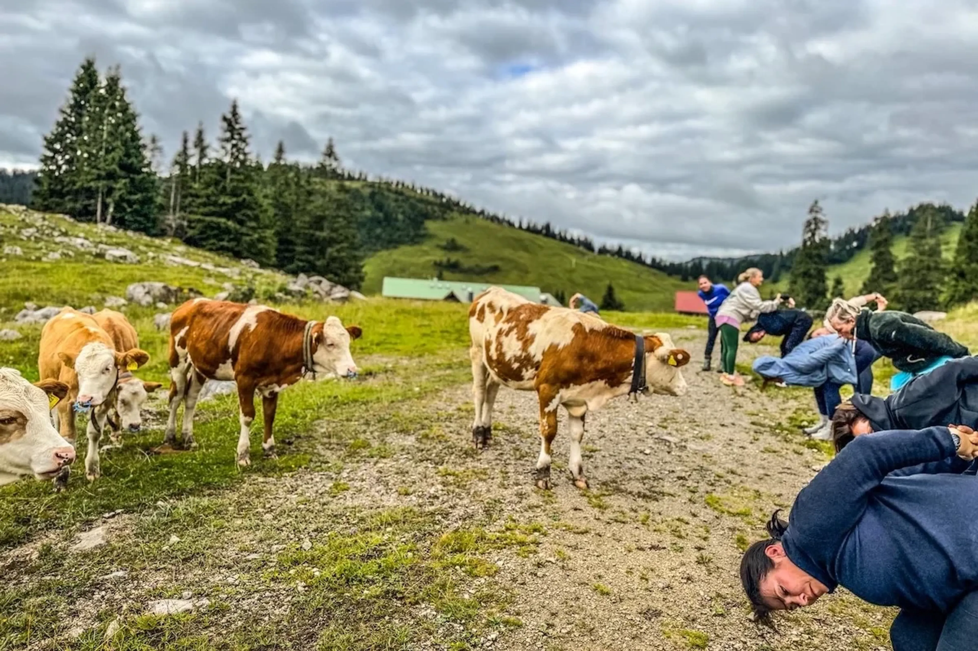 Klangwochenende mit Yoga, Wandern & Handpan auf der Firstalm - 3