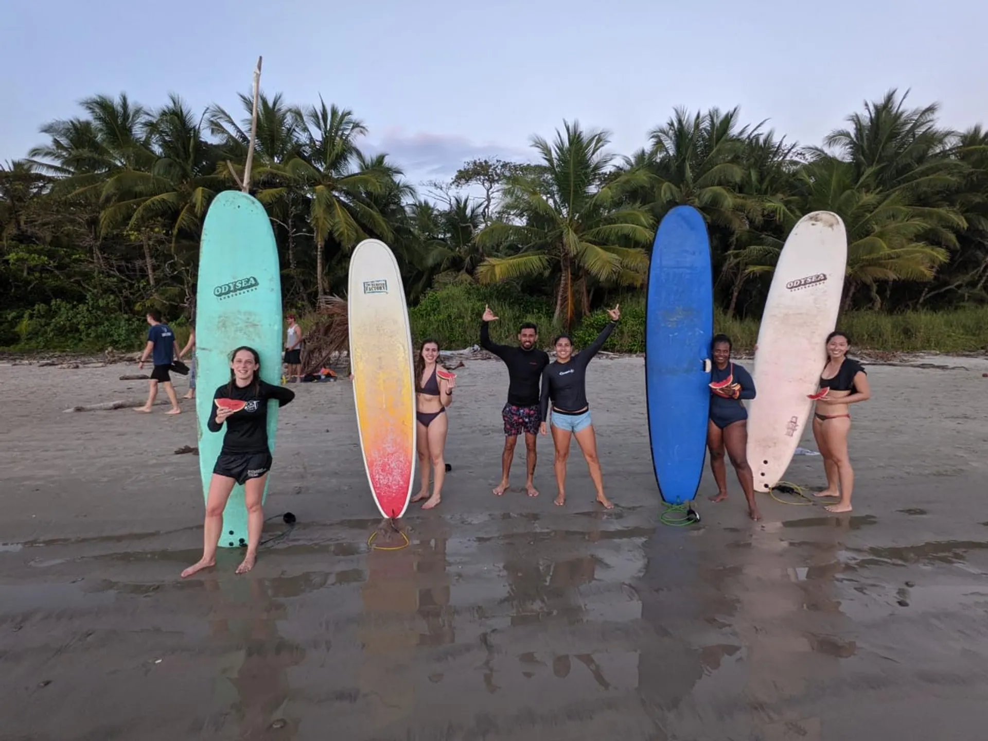 Surfen, Natur und Abenteuer: Dein Erlebnis in Costa Ricas Blue Zone - 2