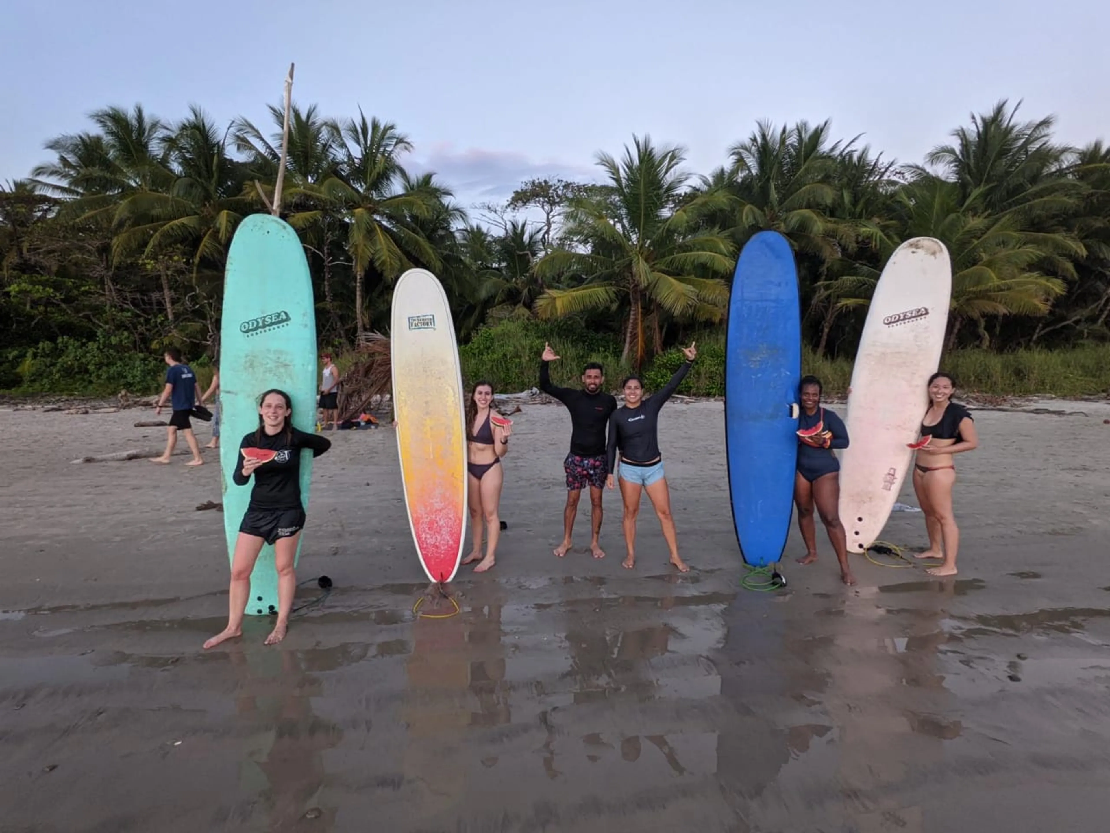 Surfen, Natur und Abenteuer: Dein Erlebnis in Costa Ricas Blue Zone - image 1