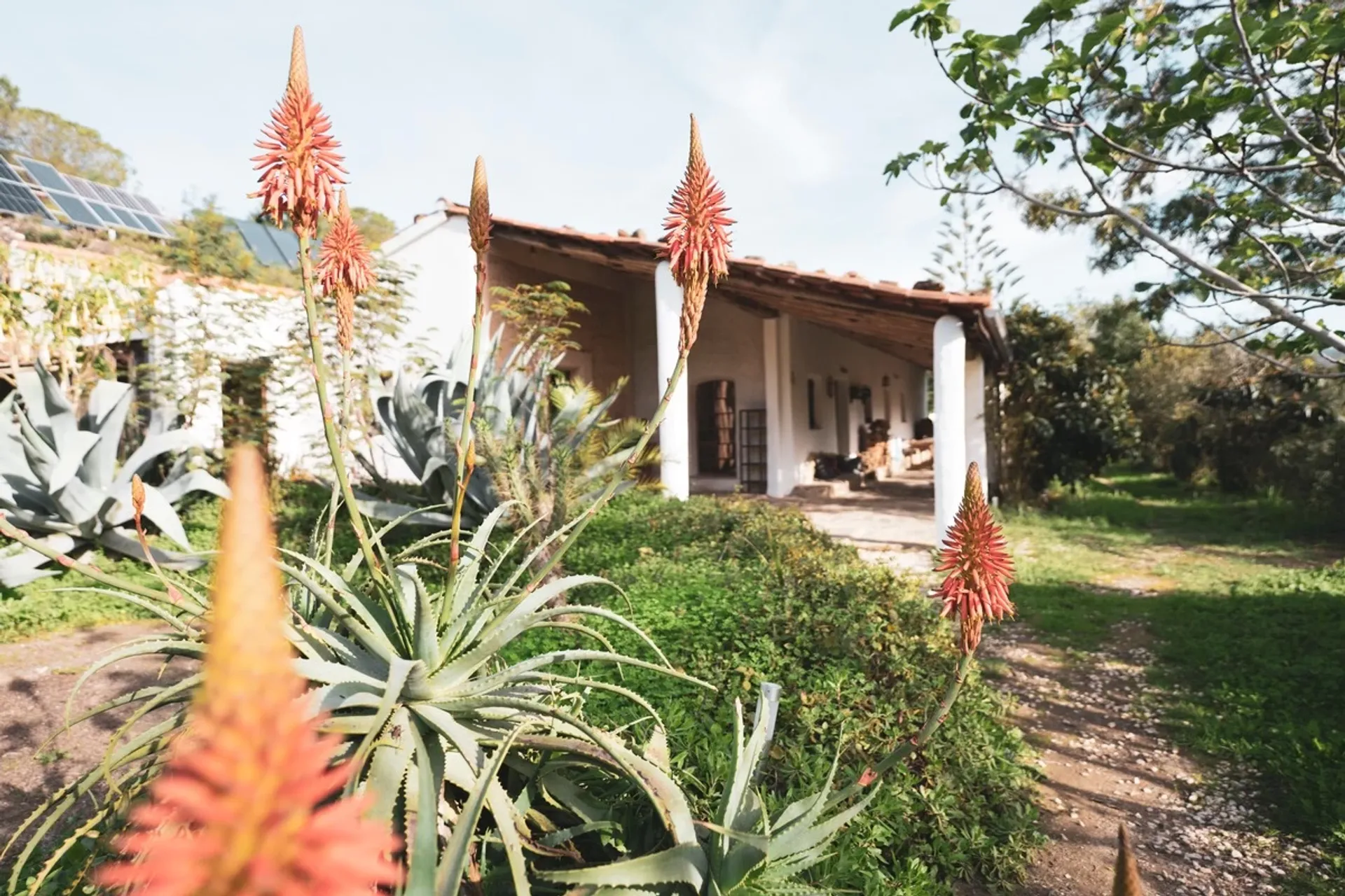Yoga an der Algarve: Eine sanfte Rückkehr zu dir selbst & der Natur - 5