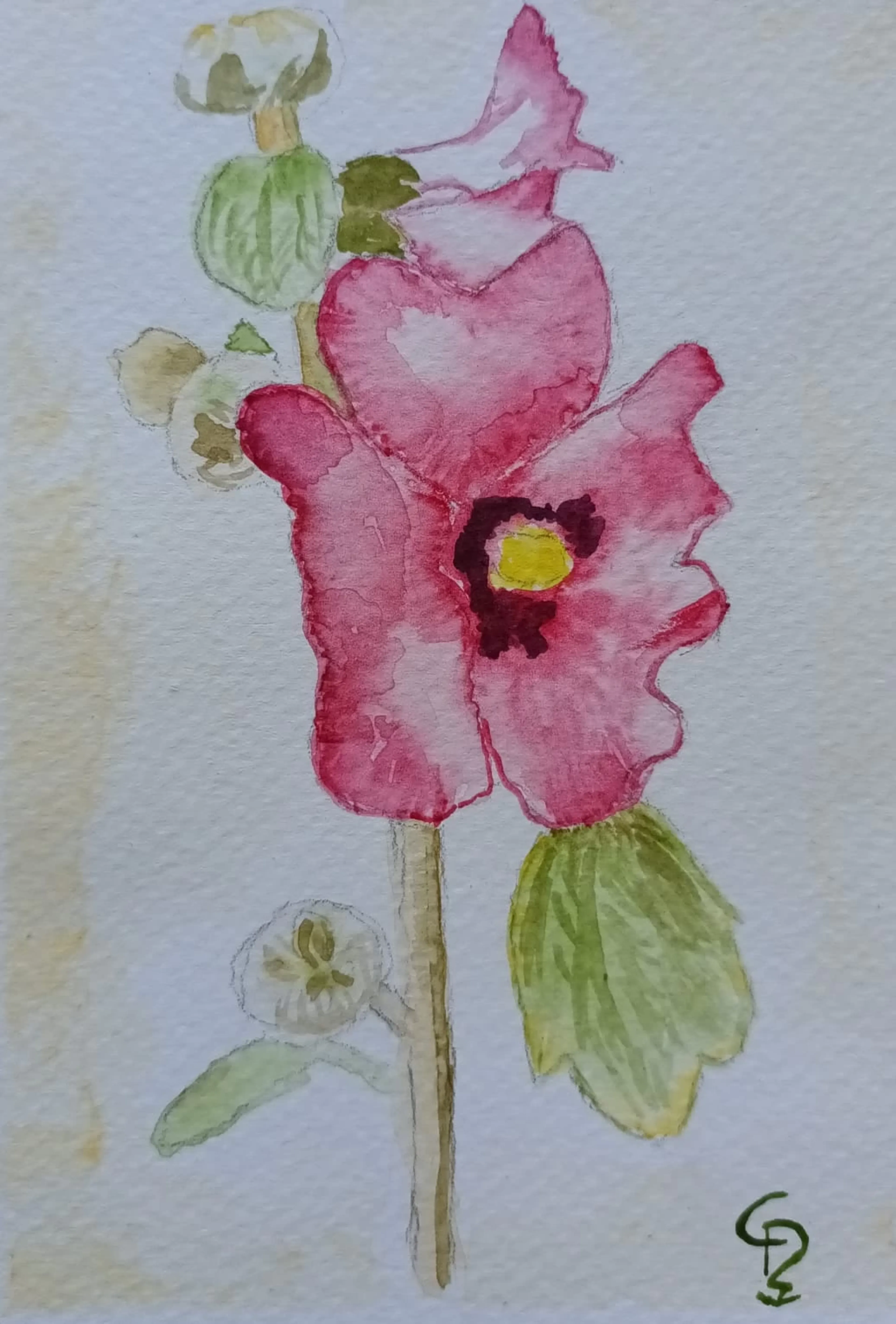 Yoga und Aquarellmalen auf der schönen Insel Rügen - 3