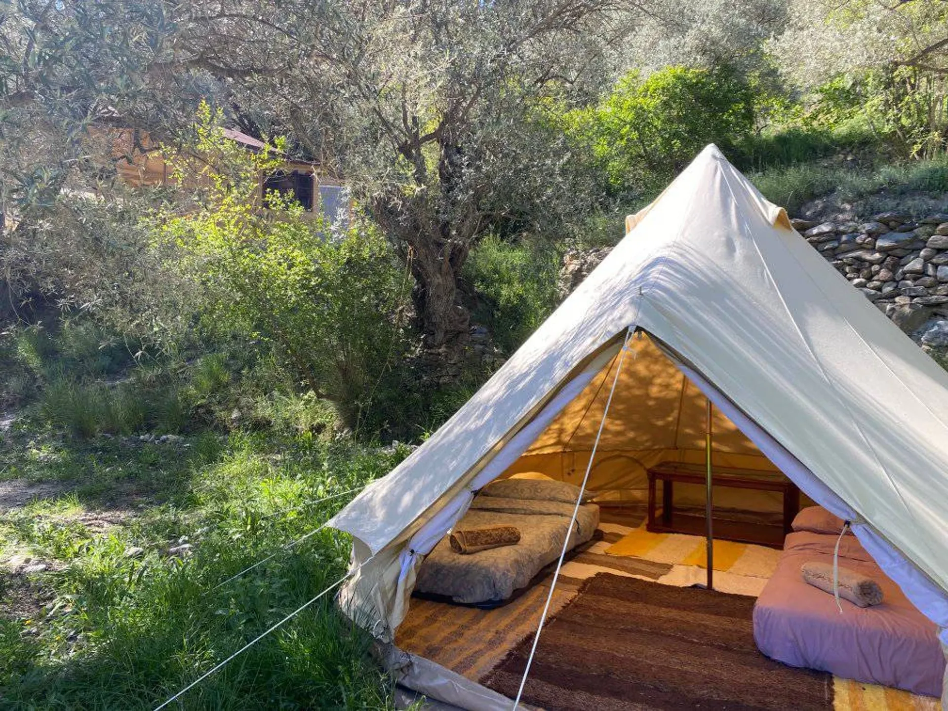 Outdoor-Retreat für Männer mit Yoga, Wandern und Breathwork - 2