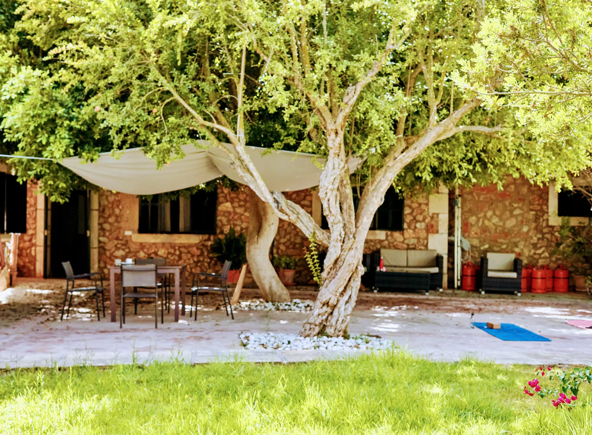 Ayurveda-Detox-Retreat zur Entgiftung und Gewichtsabnahme - 5