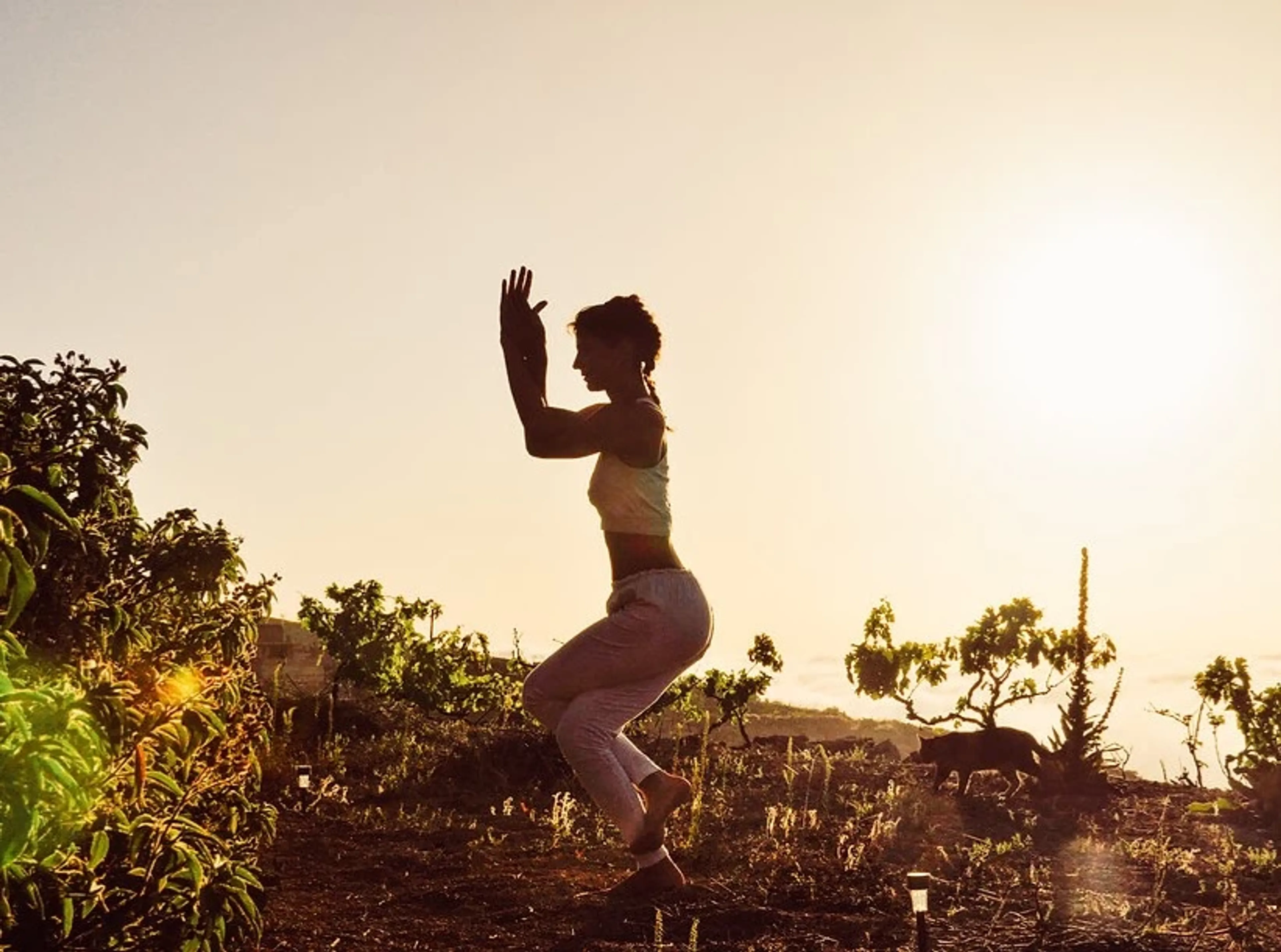 Aktiv zur inneren Ruhe – Privates Yoga & Fitness-Retreat in der Natur - 1