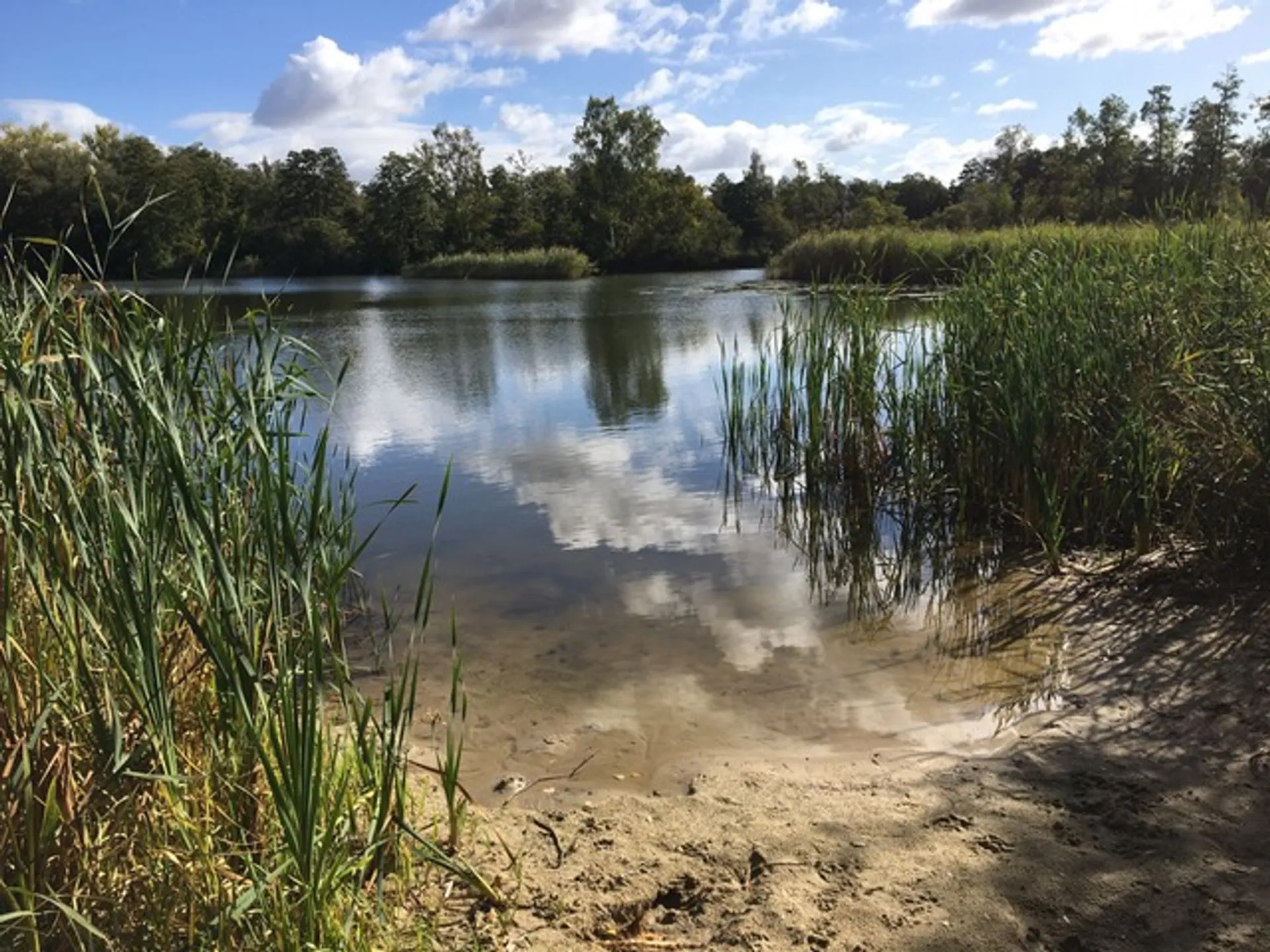 Wochenend-Retreat im Havelland: Faszienarbeit, Yin Yoga und Pilates - 3
