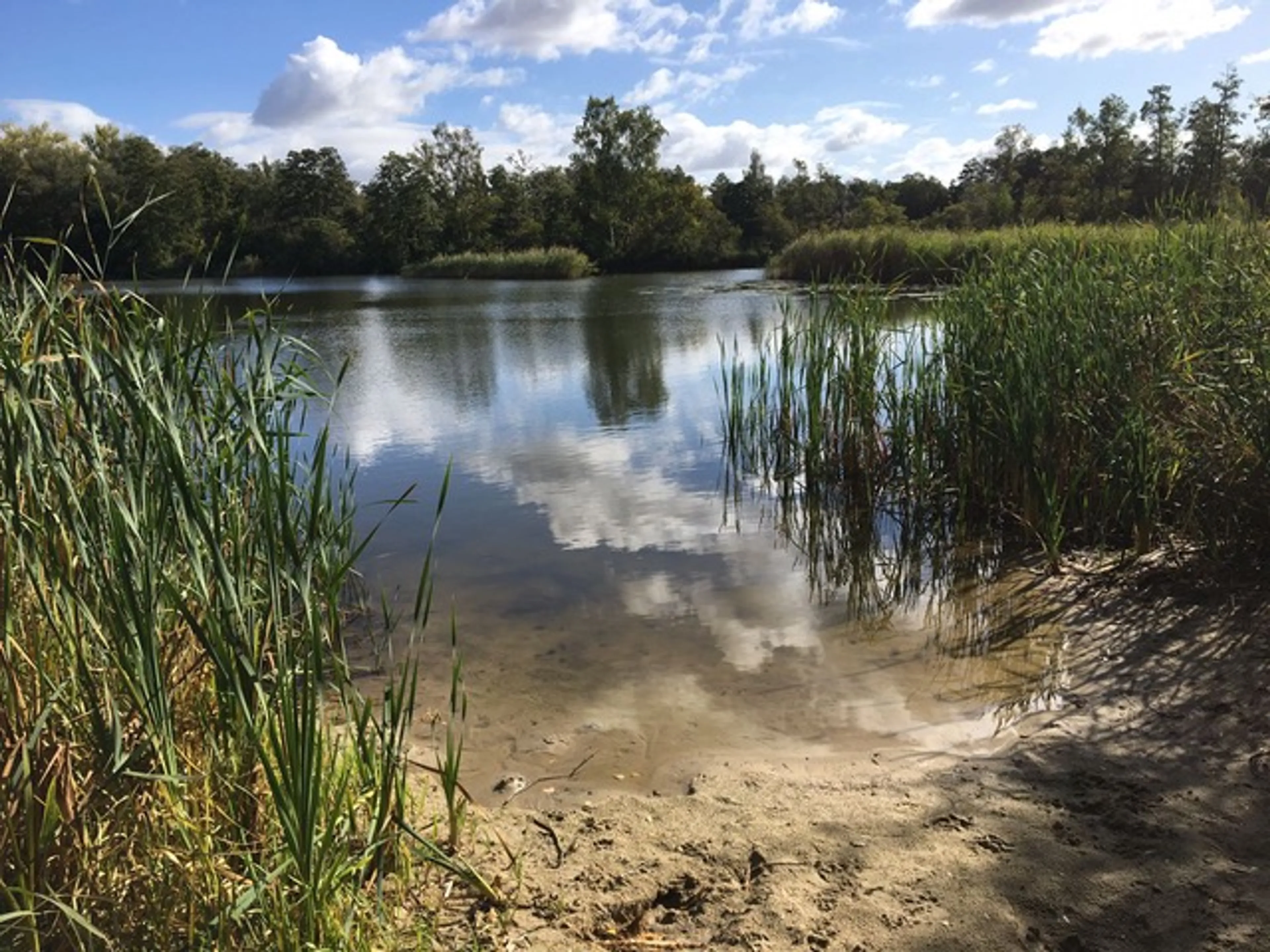 Wochenend-Retreat im Havelland: Faszienarbeit, Yin Yoga und Pilates - 3