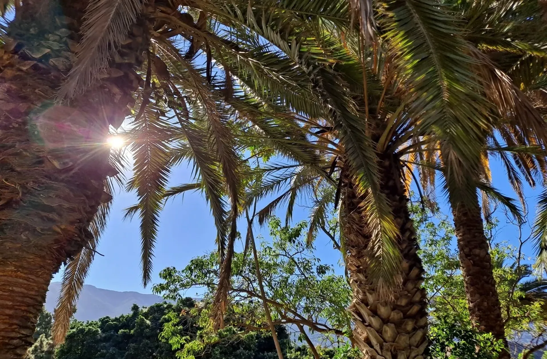 Pilates-, Yoga- und Wellness-Retreat mit Hotelkomfort - 3