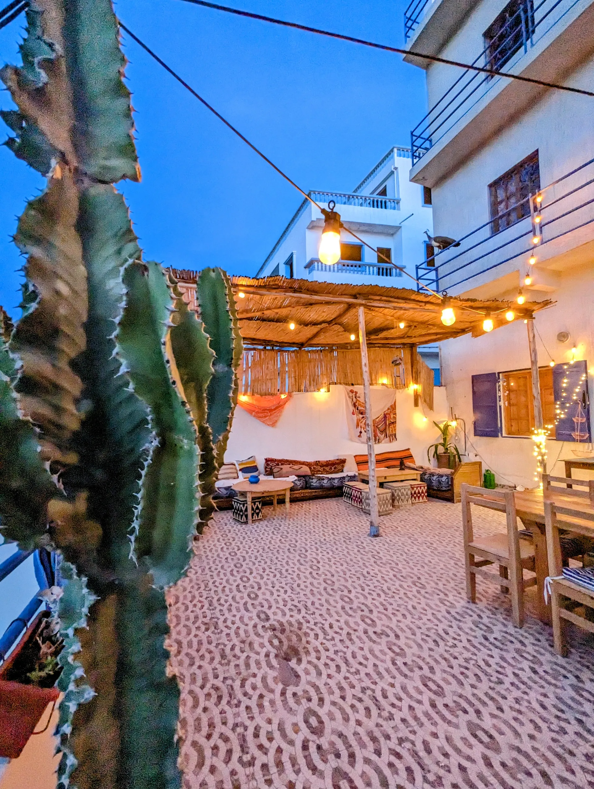 Yoga und Surfen im magischen Marokko - 3