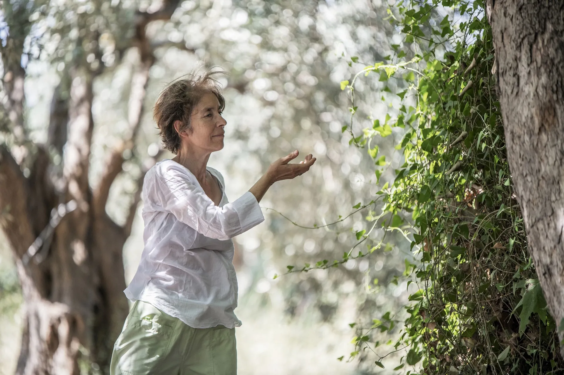 Qi Gong, Meditation & Wandern: Finde zur Natur und dir selbst - 3
