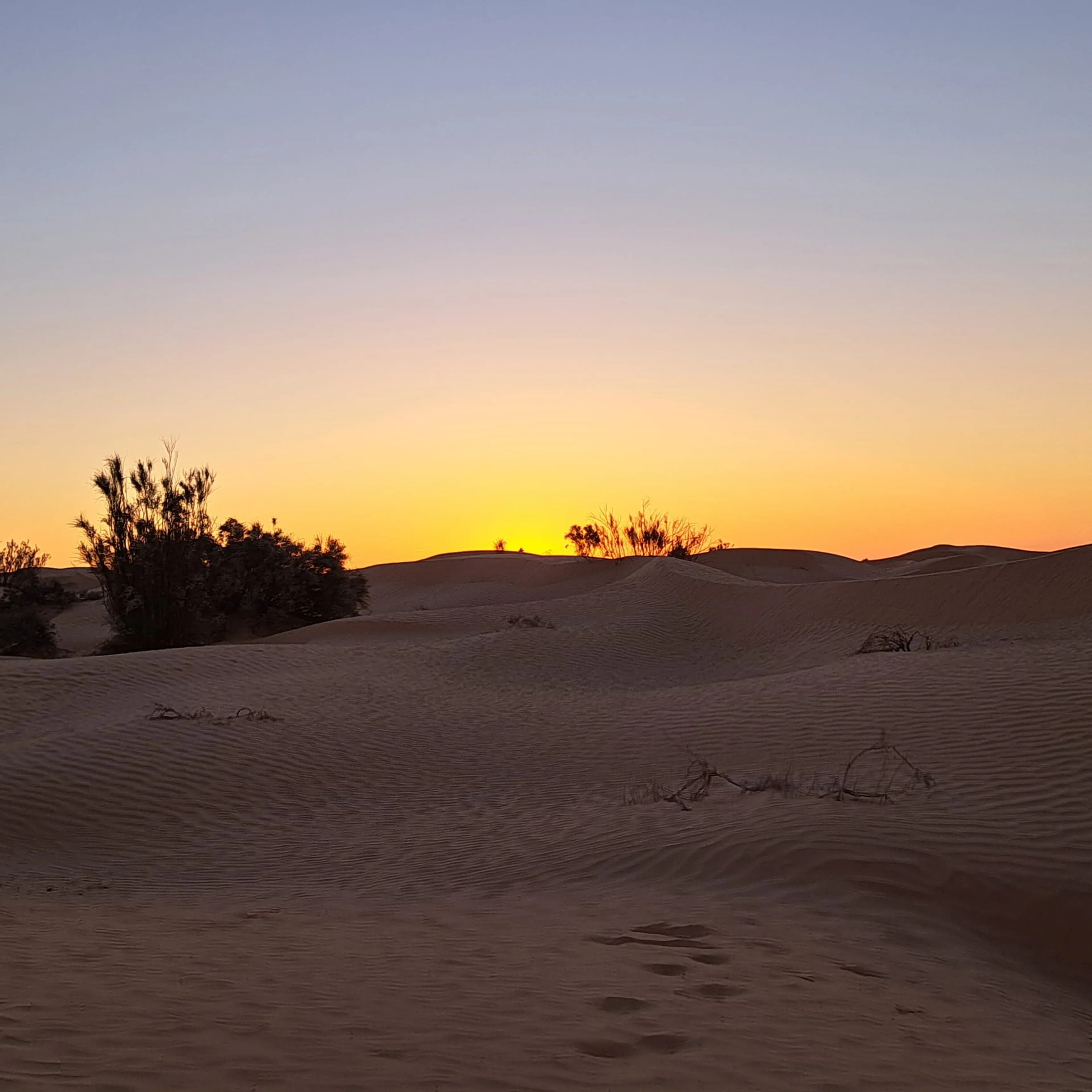 Kameltrekking und Wüstenmagie in der Sahara Tunesiens - 2