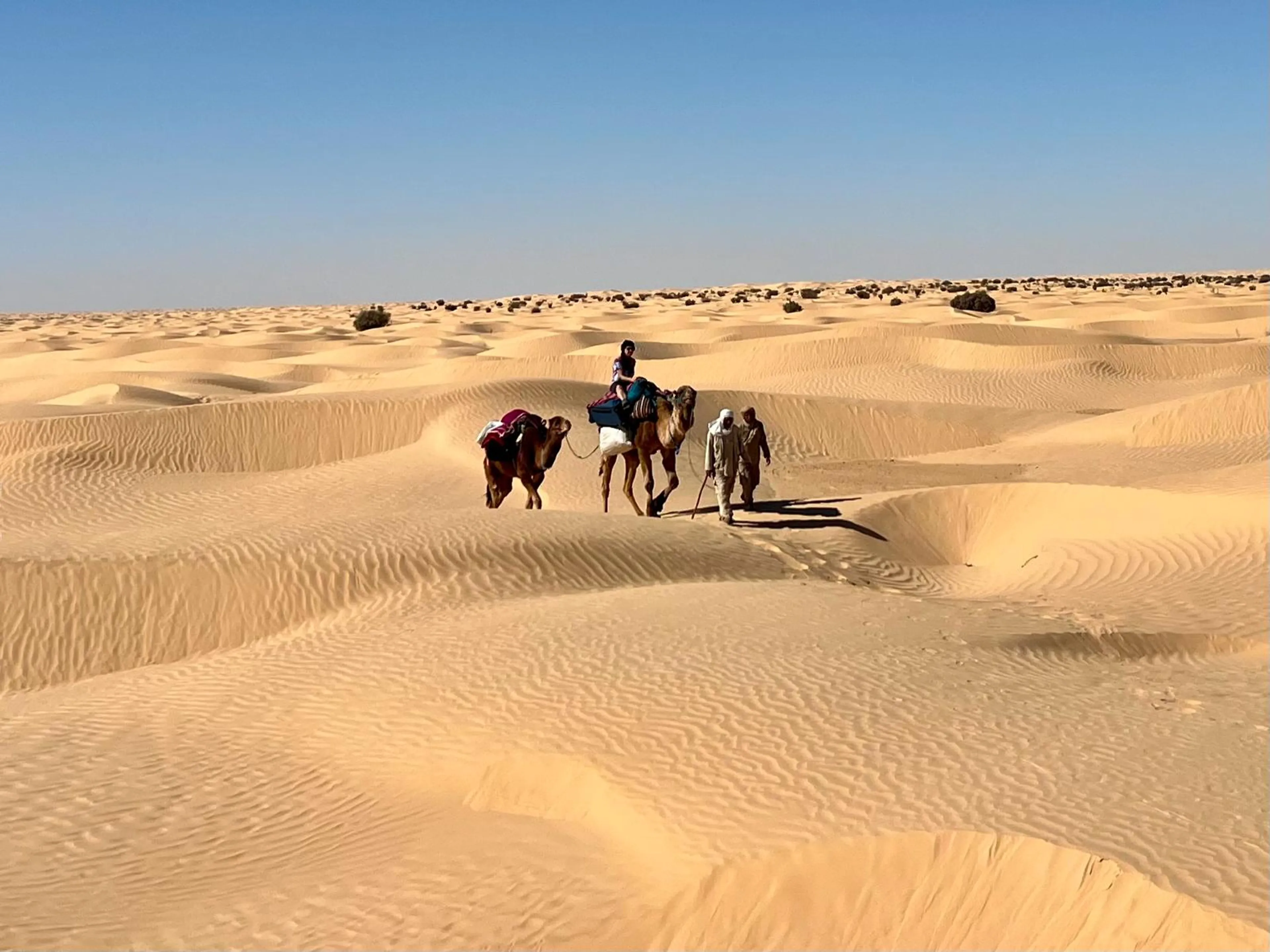 Kameltrekking und Wüstenmagie in der Sahara Tunesiens - 5