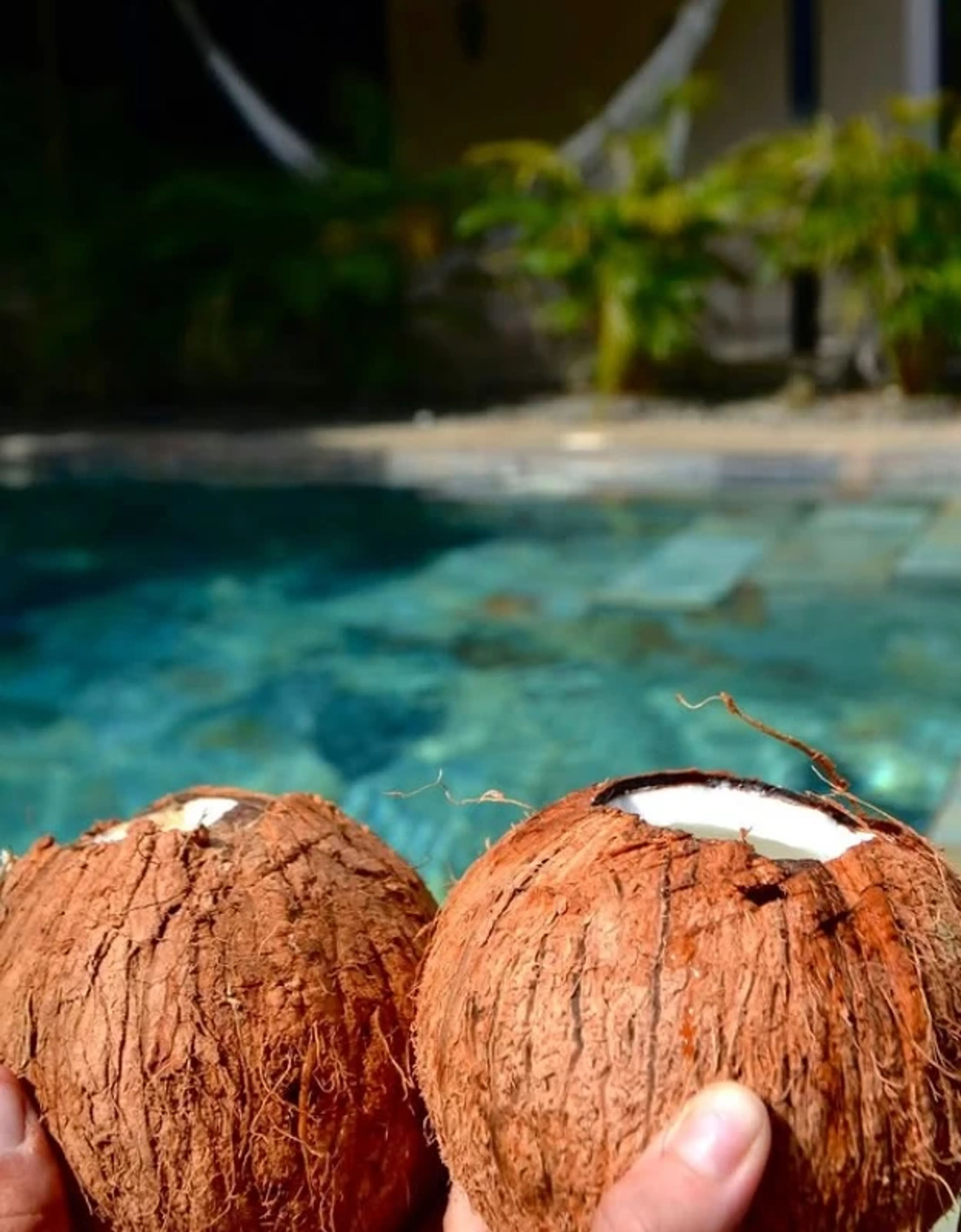 Ozean trifft Dschungel: Yoga- und Abenteuer-Retreat in Costa Rica - 4