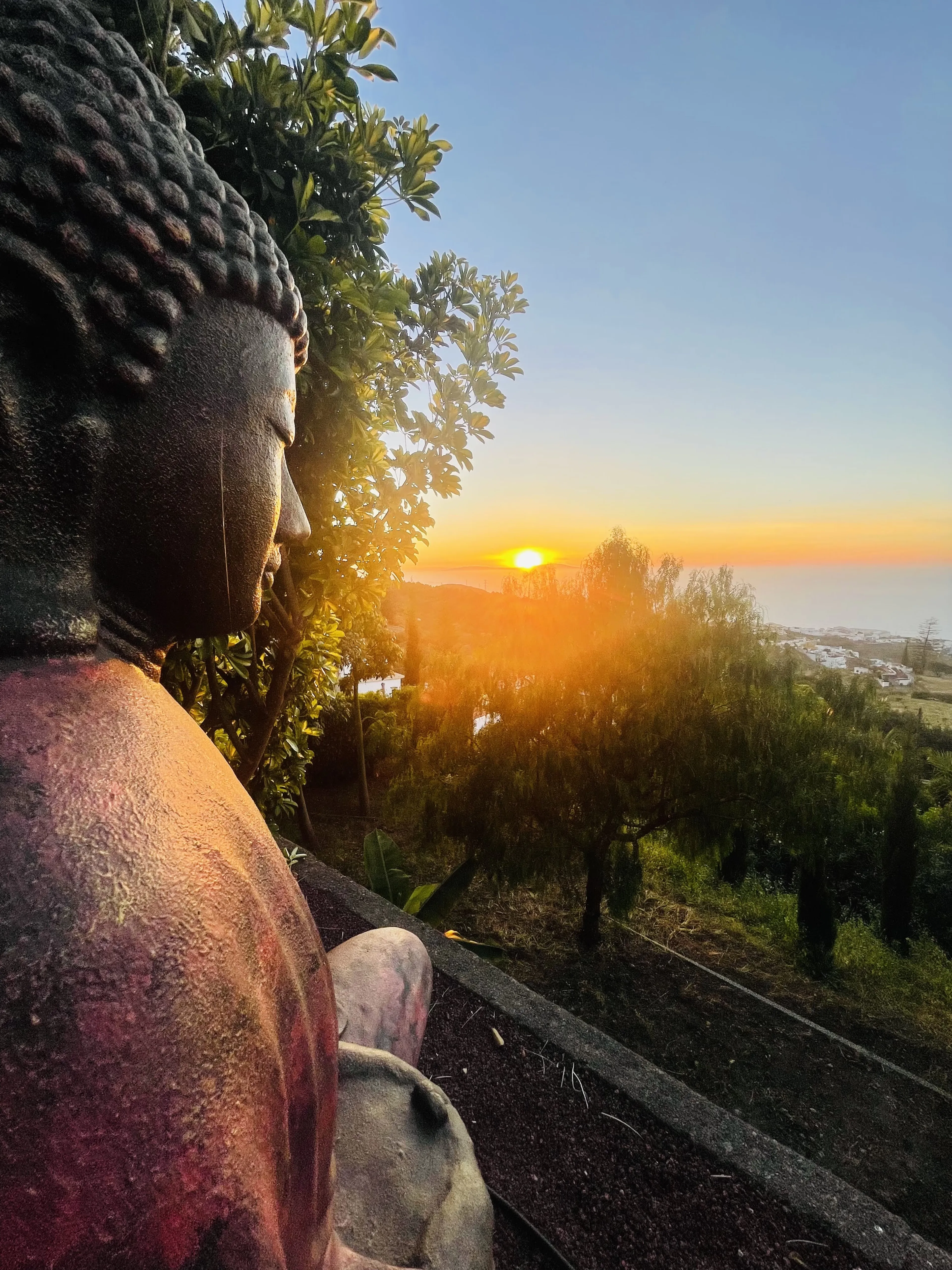 Yoga-Retreat auf Teneriffa: Zeit für dich, Entspannung & Natur - 2