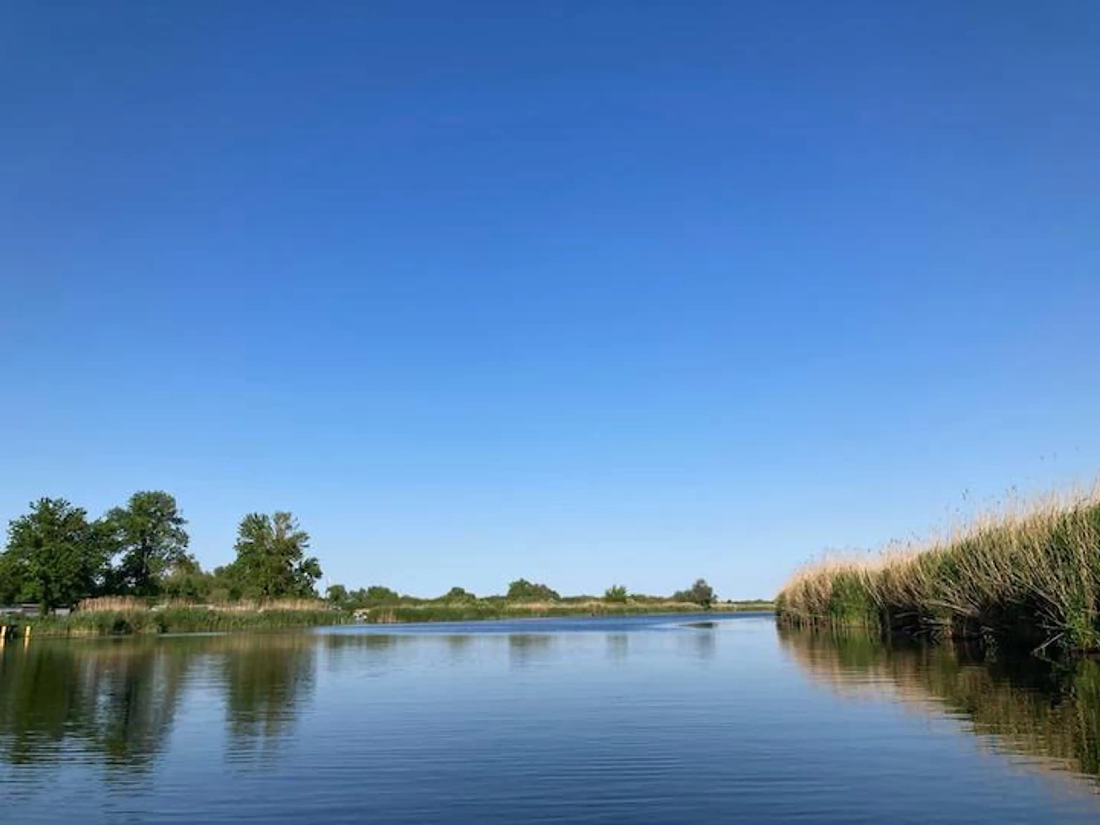 Stille Retreat in der Natur: Meditation, Hridaya Yoga & Transformation - 1