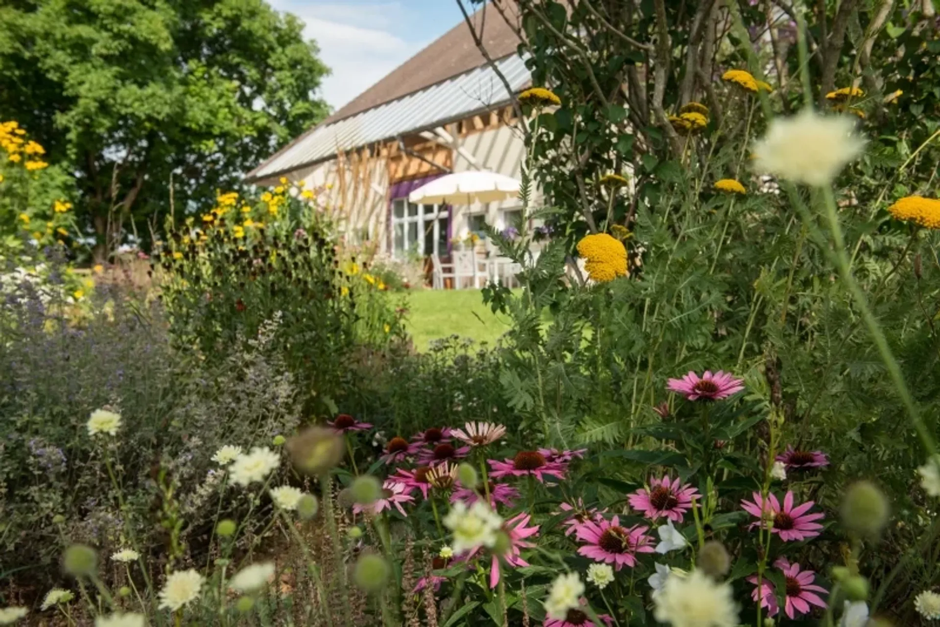 Fastenwoche nach Buchinger mit Wandern & Yin Yoga - 4