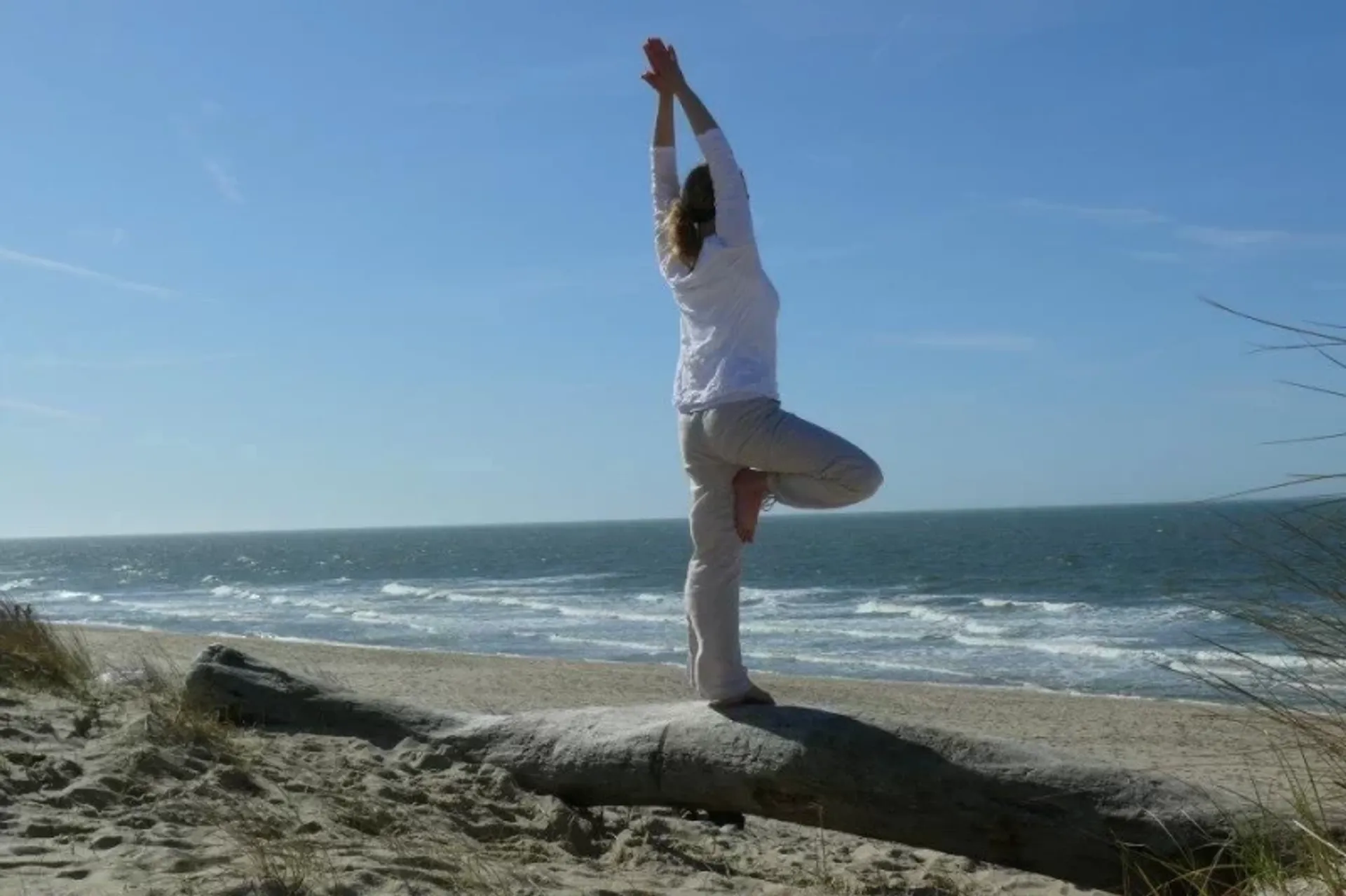 Anerkannter Bildungsurlaub: Deine Yogalehrer:innen-Ausbildung auf Sylt - 2