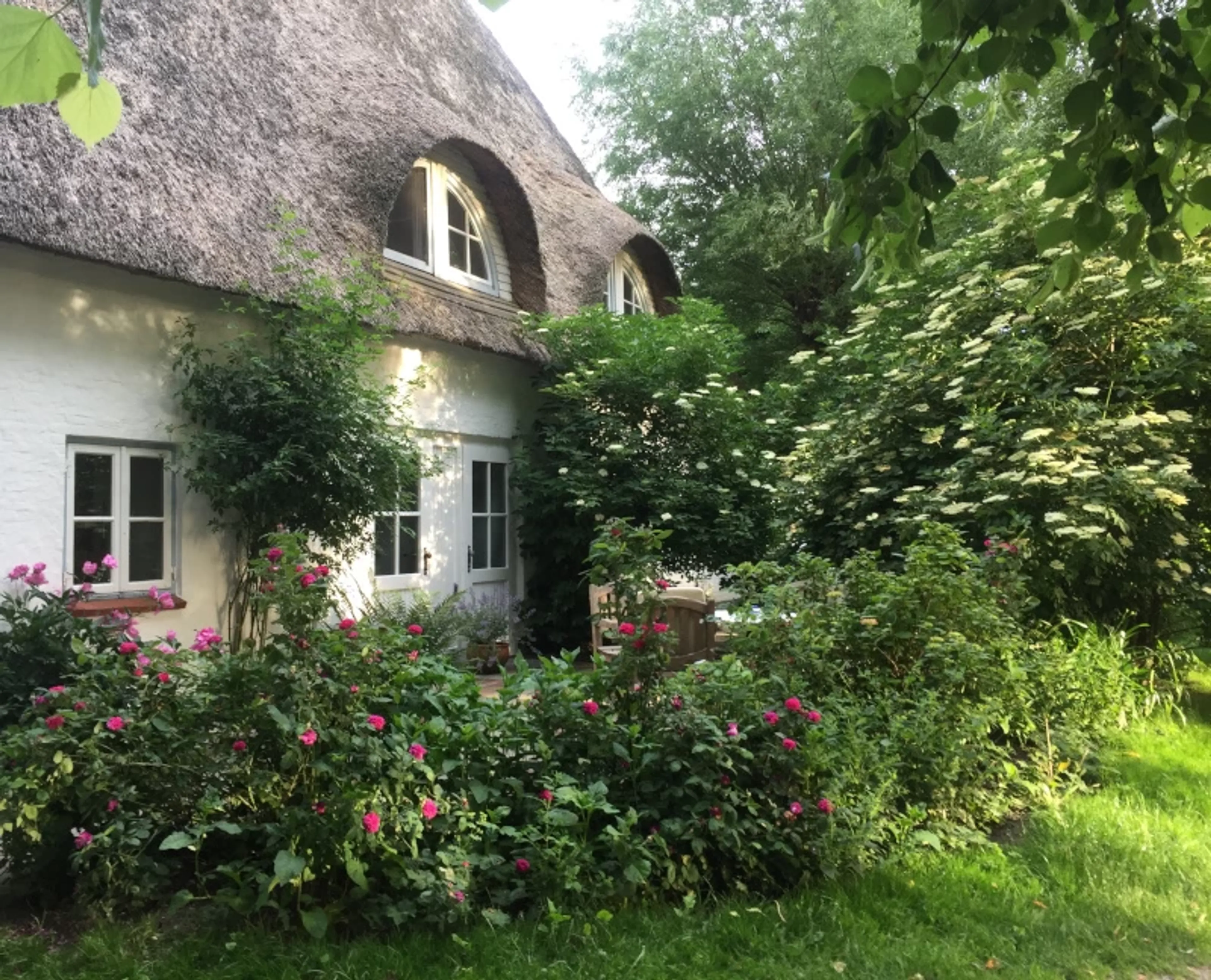 Ayurvedisches Heilfasten und Yoga an der schönen Nordseeküste - 1