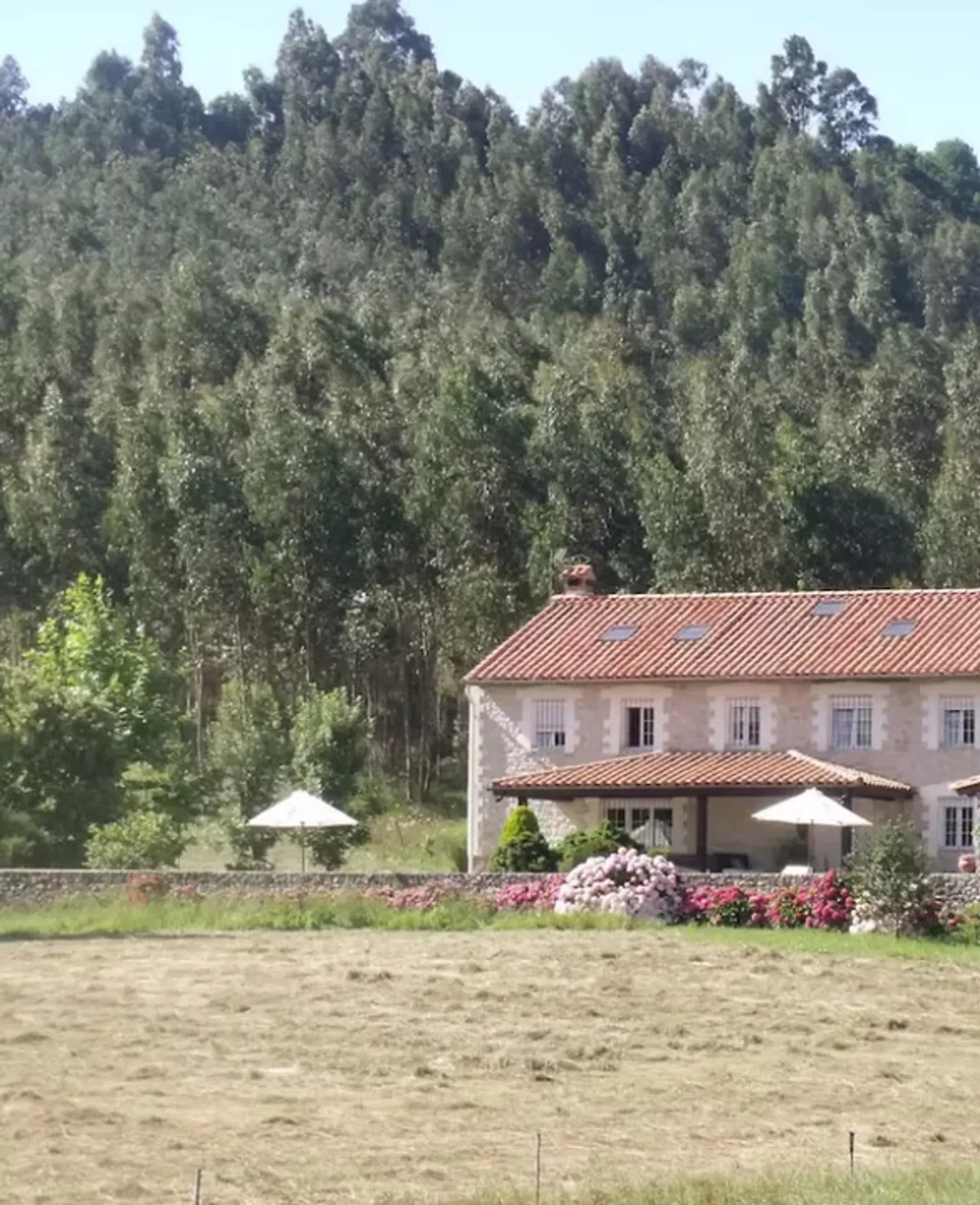 Auf neuen Pfaden zu dir selbst: Wandern, Yoga und Gemeinschaft - 3